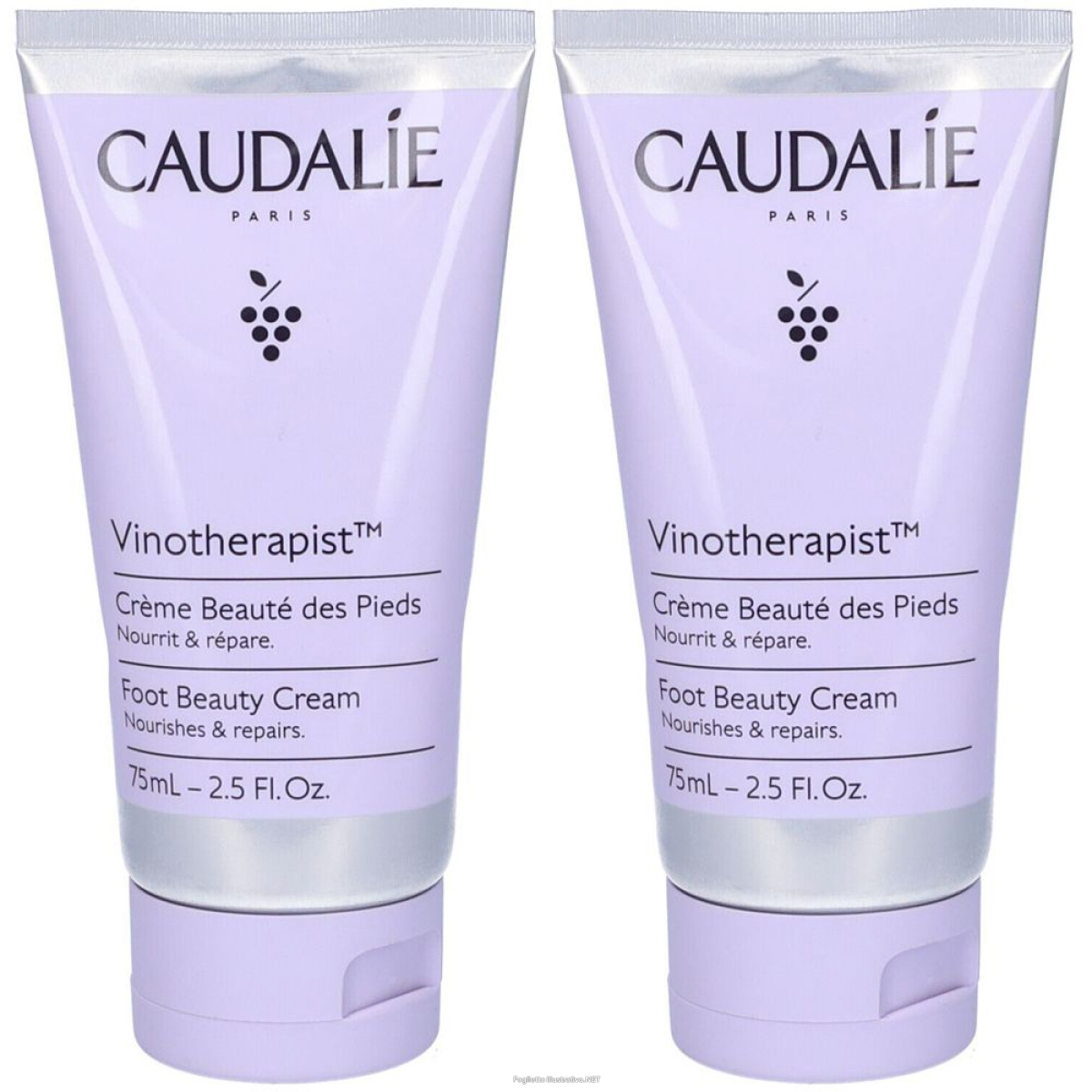 Cerca Prezzi di caudalie crema bellezza dei piedi set da 2 2x75 ml e acquista online