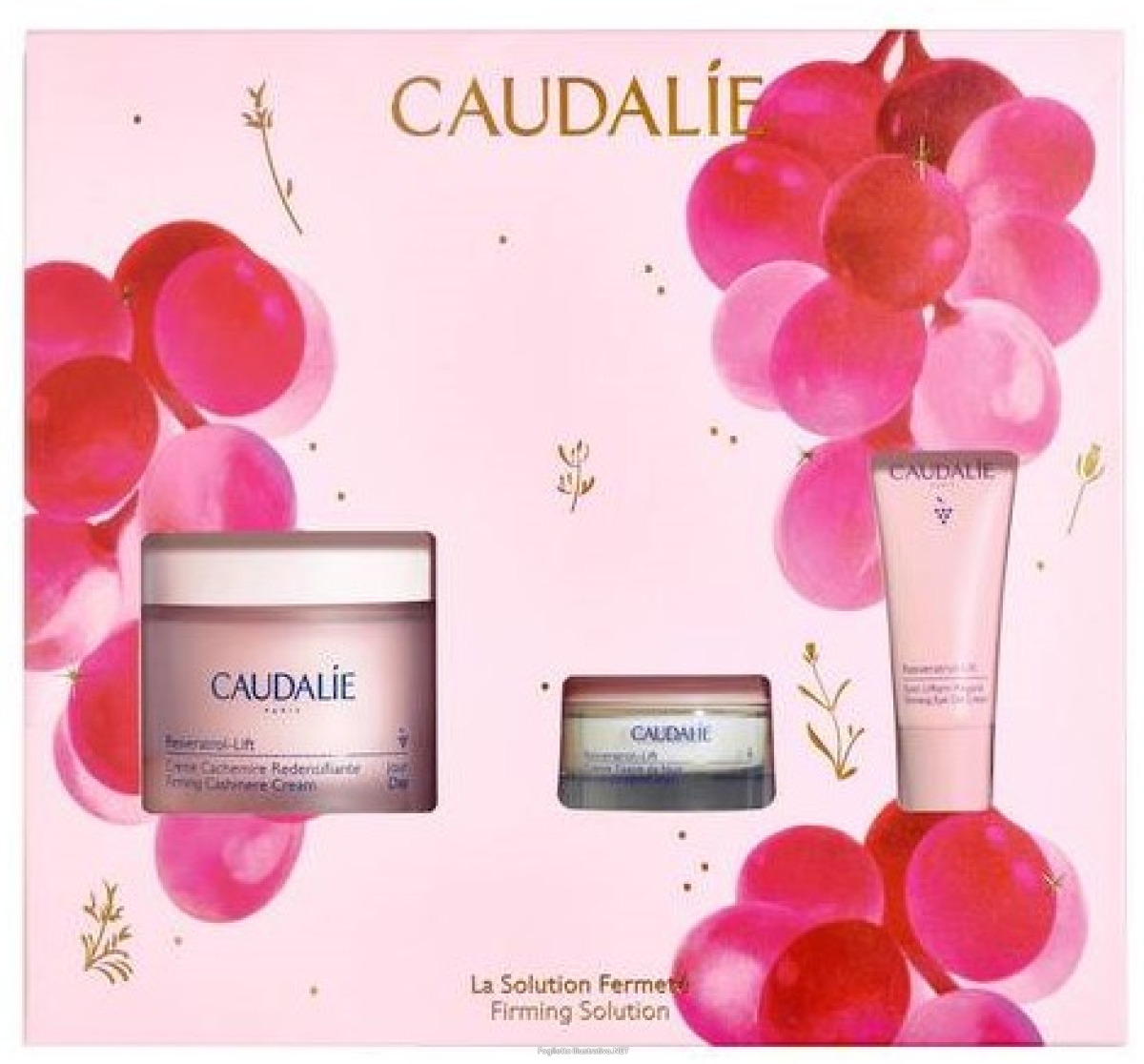 Cerca Prezzi di caudalie resveratrol-lift creme cachemire cofanetto con crema ridensificante 50ml + crema notte 15ml in omaggio + trattamento liftante occhi 5ml in e acquista online