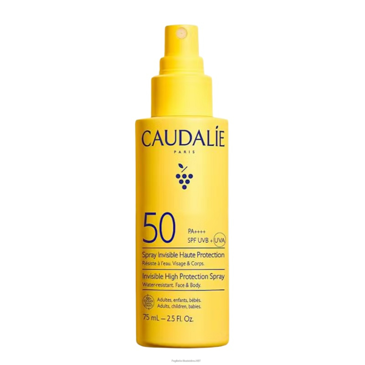 Cerca Prezzi di caudalie spray solare invisibile spf 50 alta protezione viso e corpo resistente all'acqua 75ml e acquista online