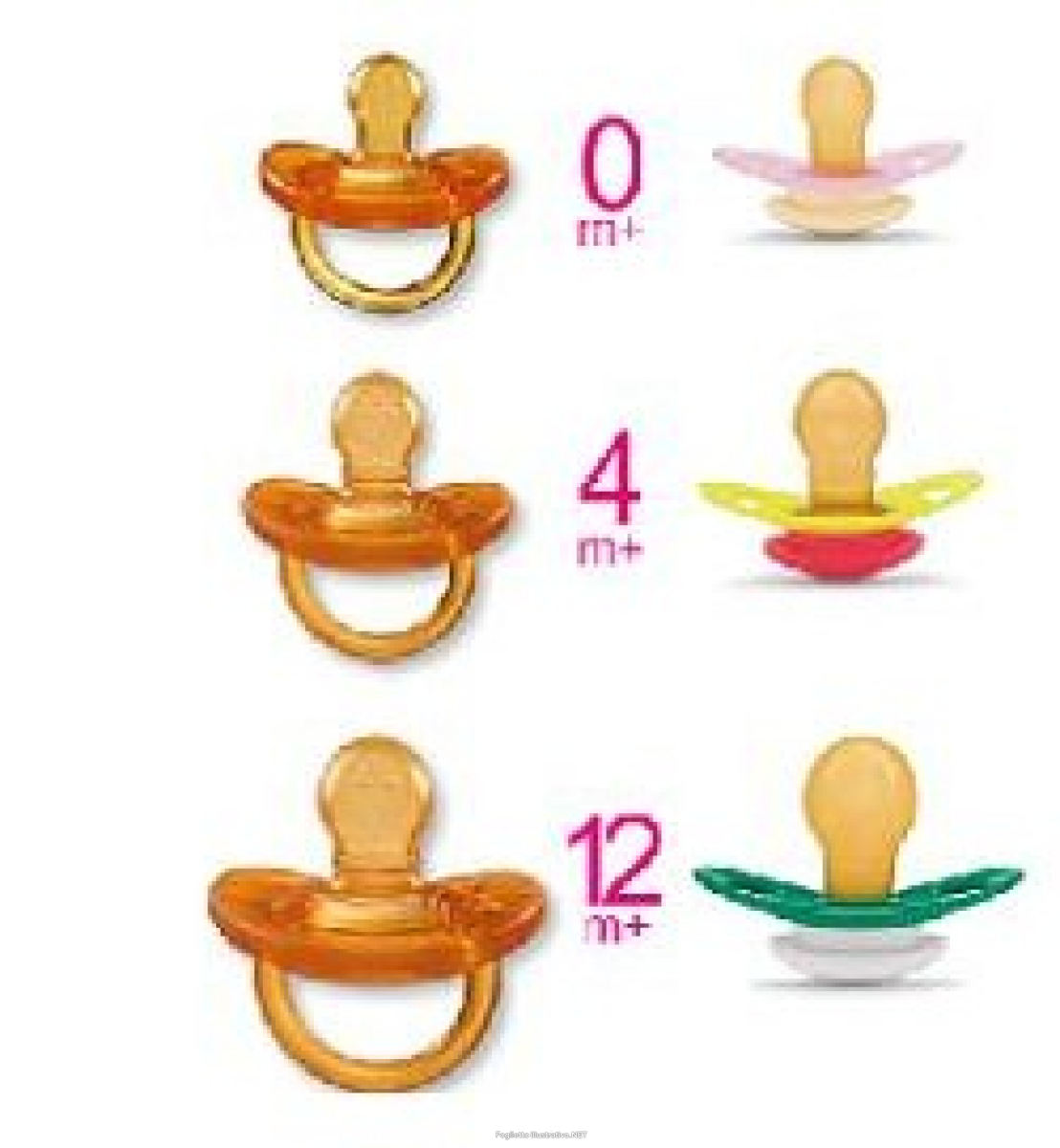 Cerca Prezzi di chicco succhicco 846000 physio crema 0m+1 e acquista online