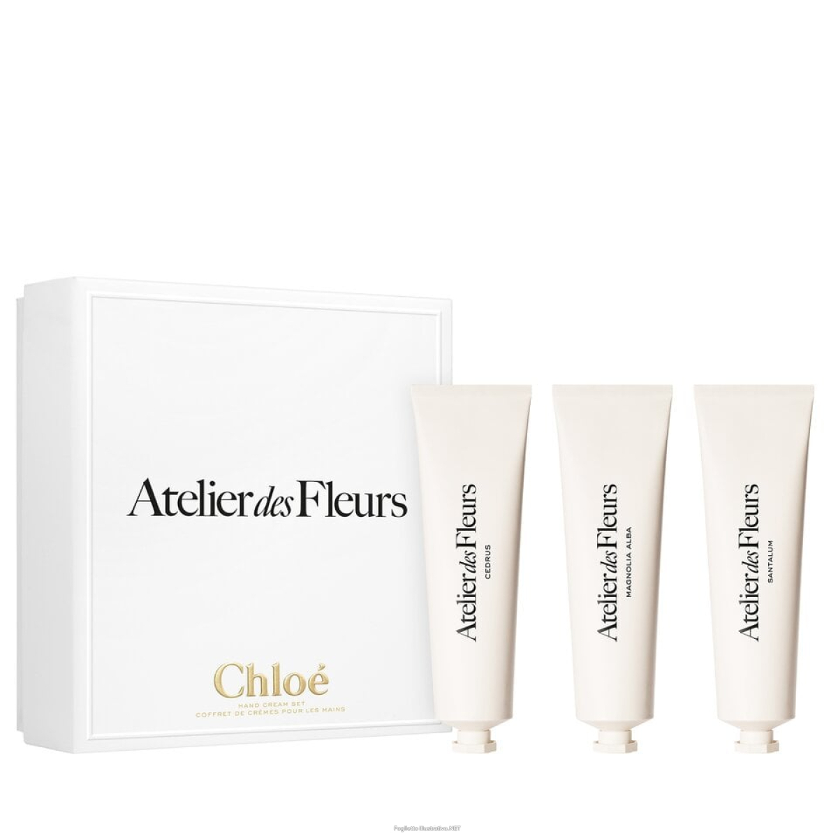 Cerca Prezzi di chloe aterlier des fl set hand e acquista online