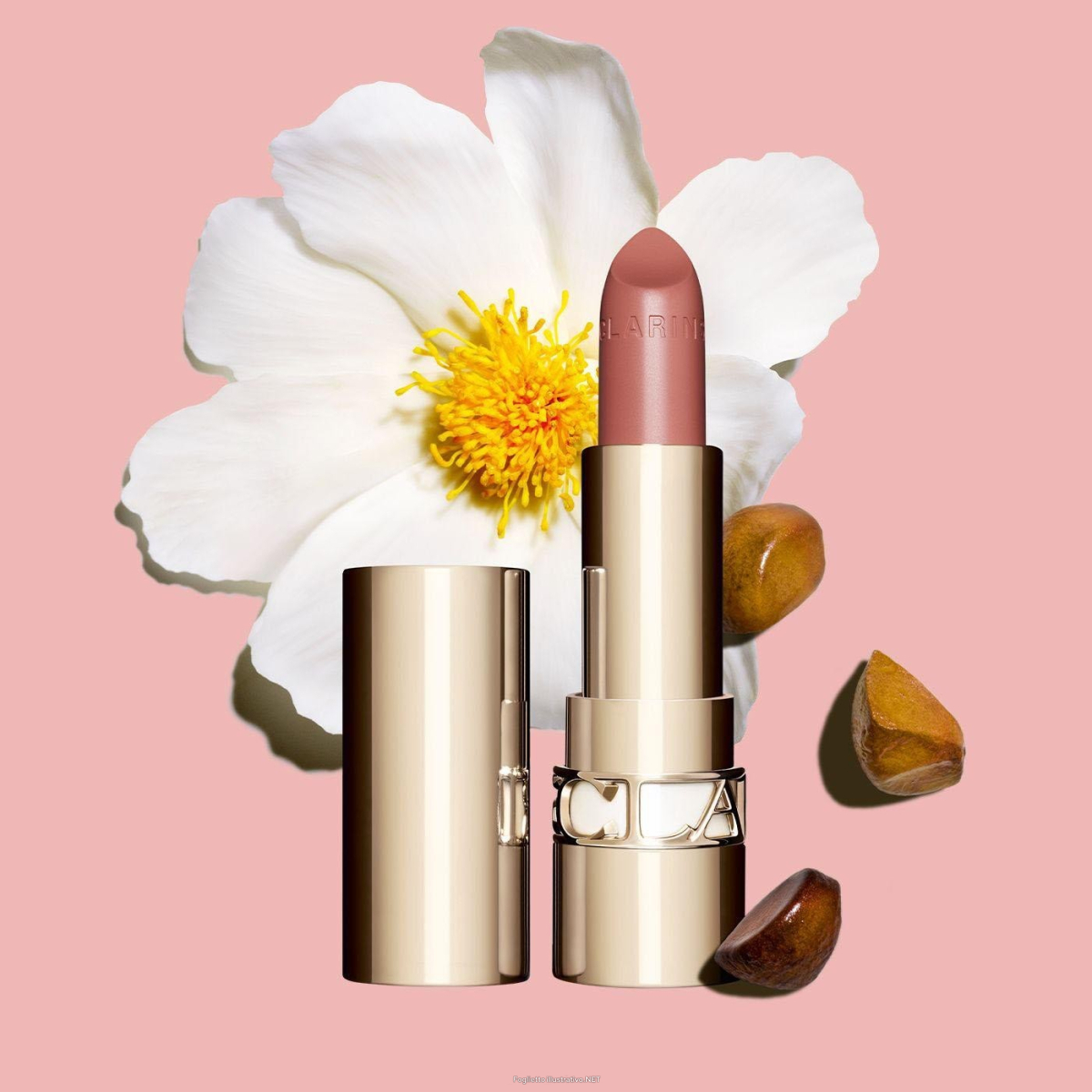 Cerca Prezzi di clarins italia joli rouge 788 rossetto e acquista online