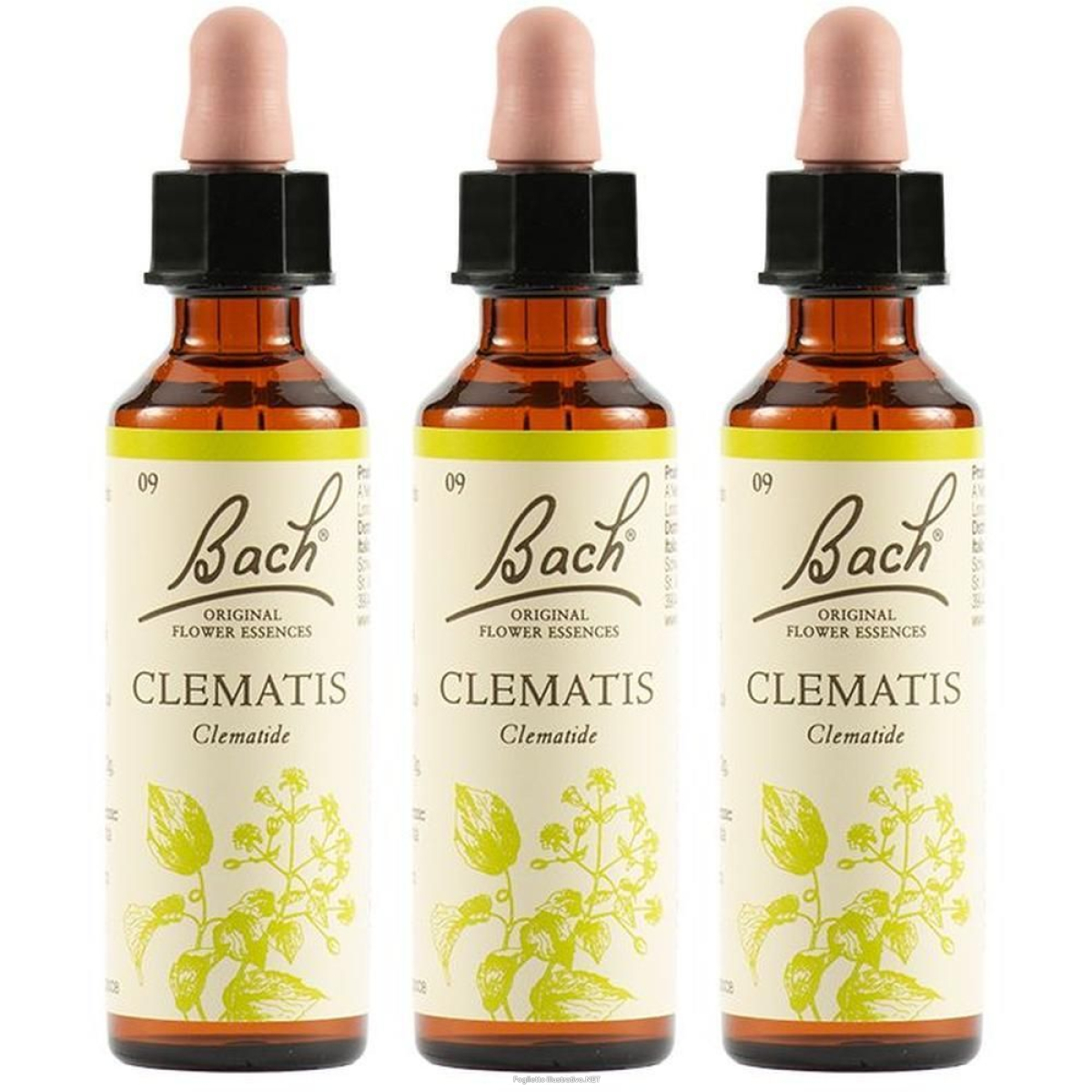 Cerca Prezzi di clematis bach orig 20ml 3x20 ml gocce orali e acquista online