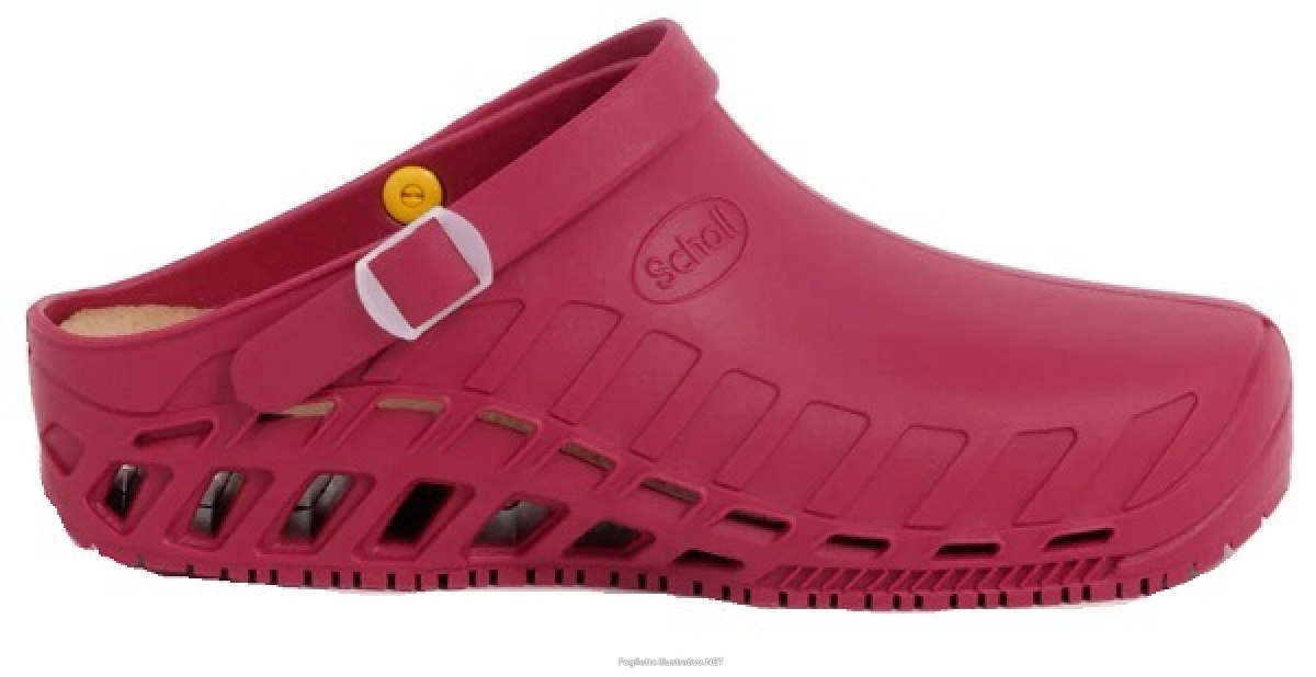Cerca Prezzi di clog evo tpr scarpa unisex wine 42/43 e acquista online