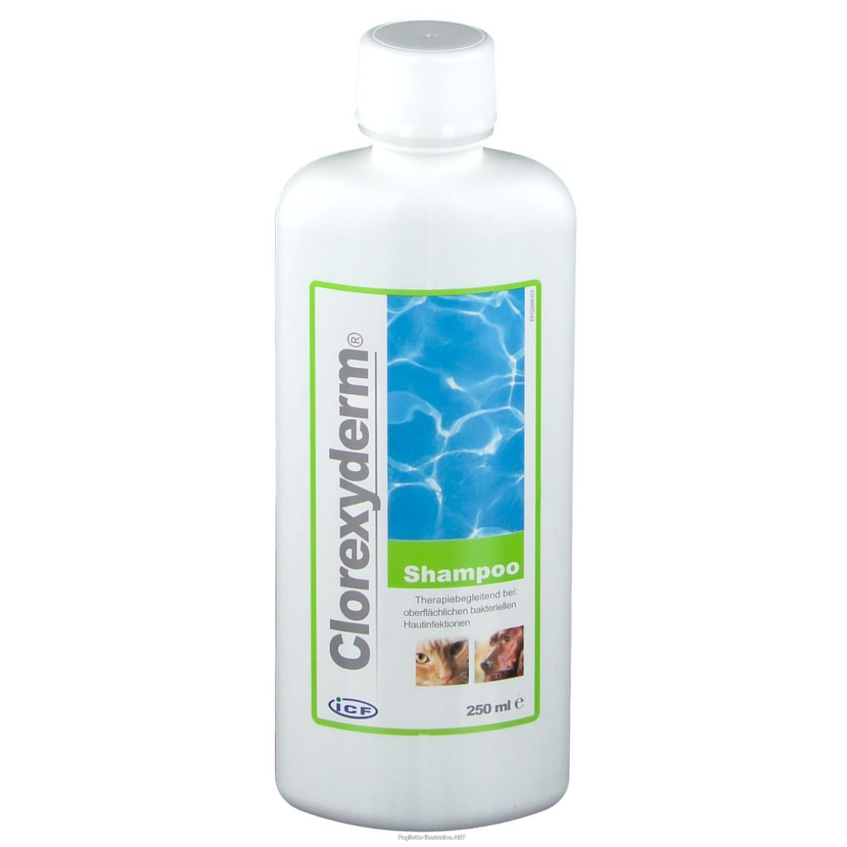 Cerca Prezzi di clorexyderm shampoo 250 ml ml e acquista online