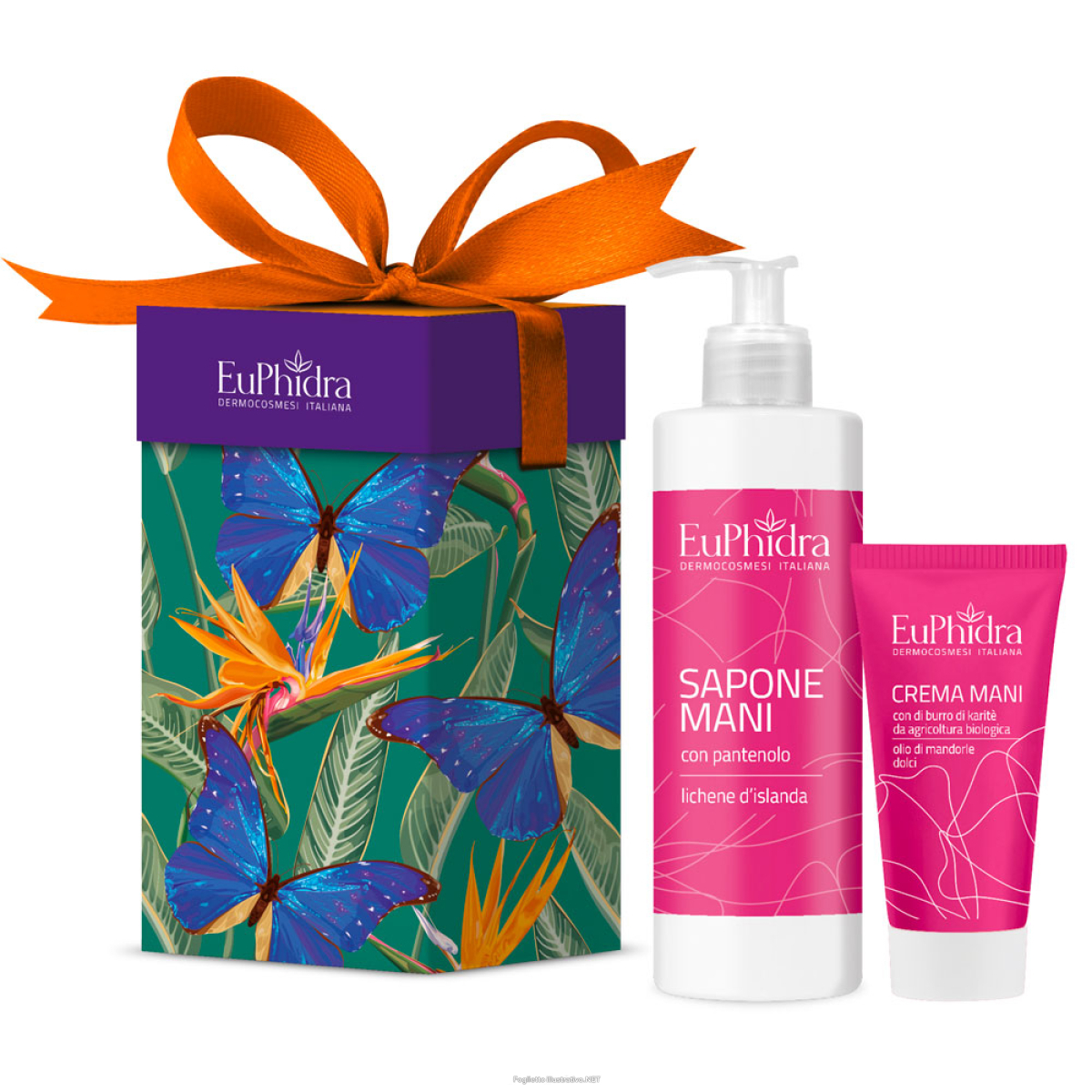 Cerca Prezzi di cofanetto euphidra seta beauty - 2 pezzi e acquista online