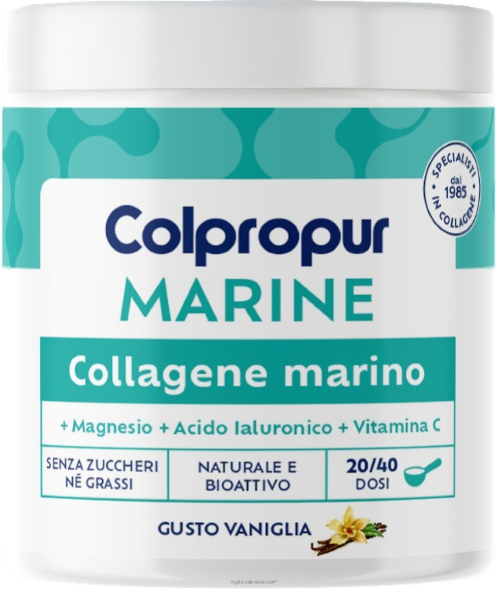 Cerca Prezzi di colpropur marine gusto vaniglia integratore benessere cartilagini articolazioni e ossa, 228g 951358326 e acquista online