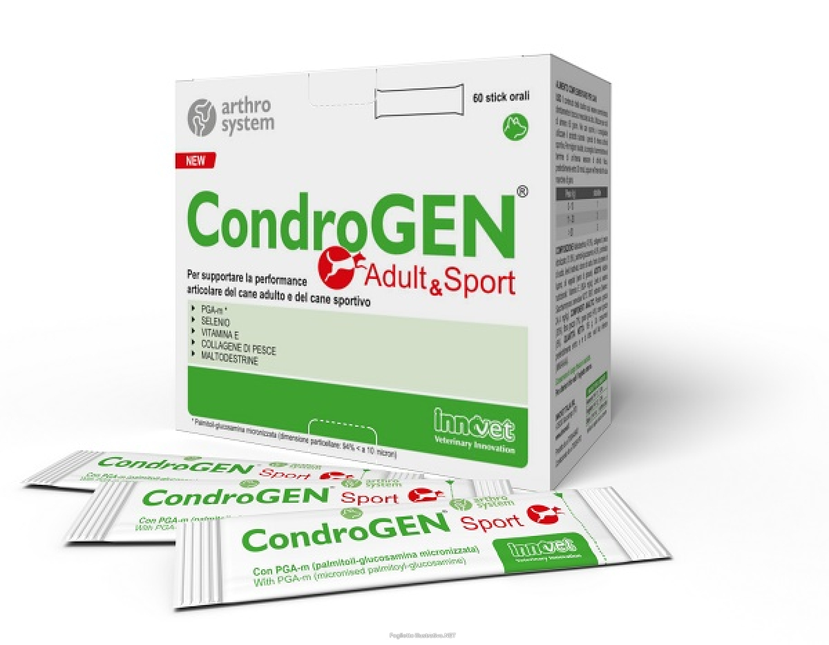 Cerca Prezzi di condrogen adult&sport 60 stick e acquista online