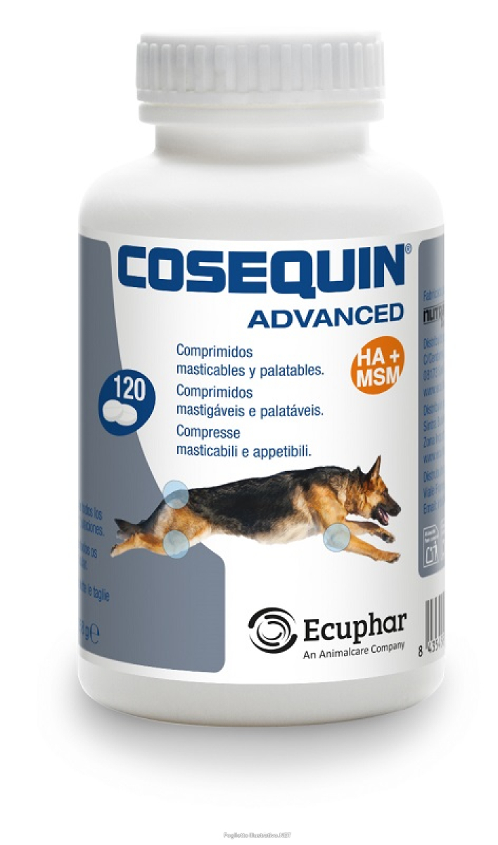 Cerca Prezzi di cosequin advanced cane 120 compresse e acquista online