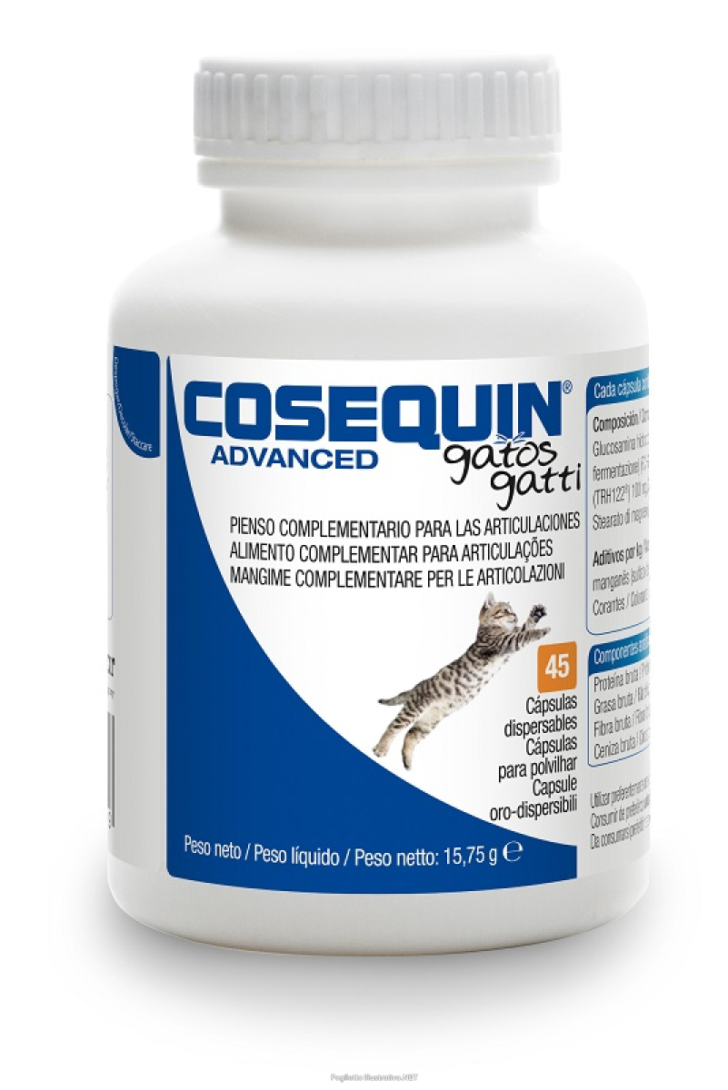 Cerca Prezzi di cosequin advanced gatto 45 compresse e acquista online
