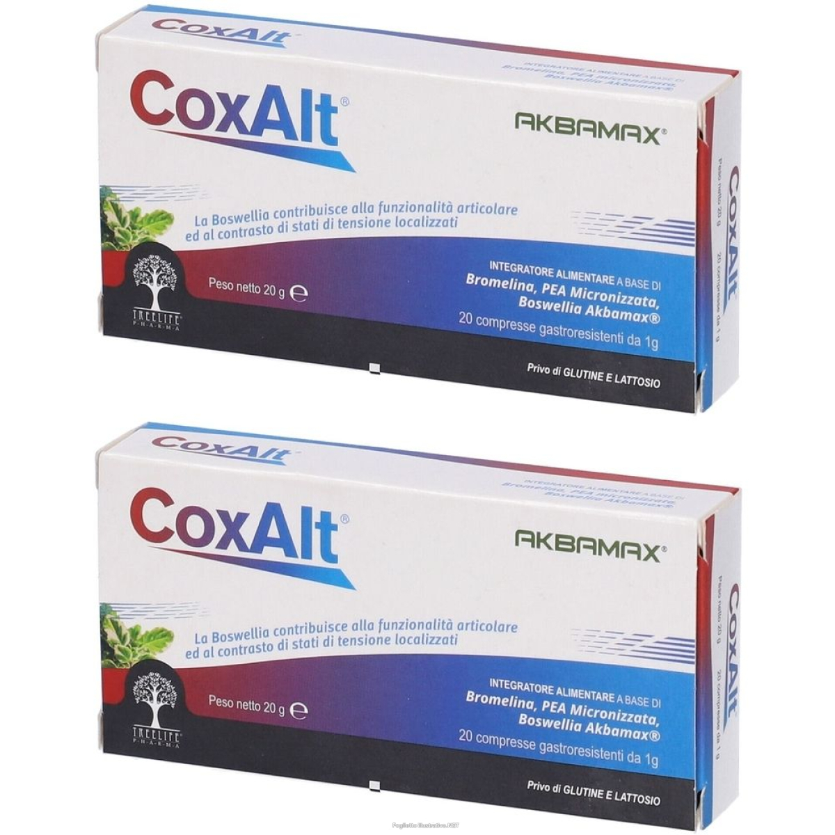 Cerca Prezzi di coxalt 20 compresse set da 2 g e acquista online