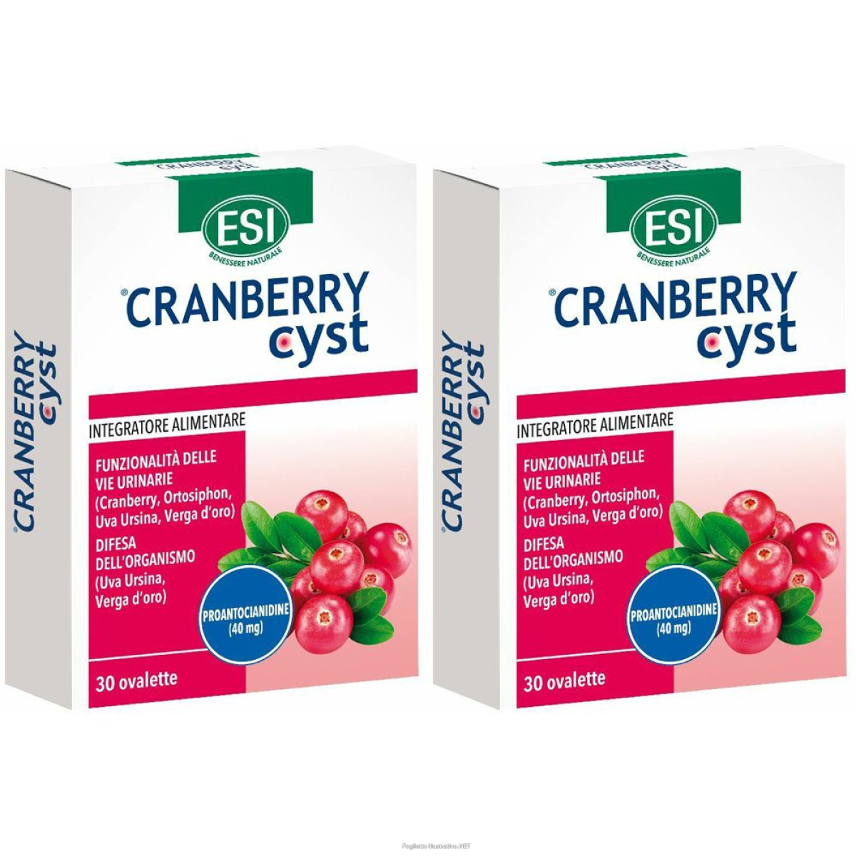 Cerca Prezzi di cranberry cyst set da 2 2x30 pz compresse e acquista online