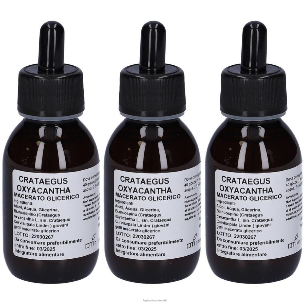 Cerca Prezzi di Crataegus Oxyacanta Macerato Glicerico 10% Gocce 3x100 ml Orali e acquista online