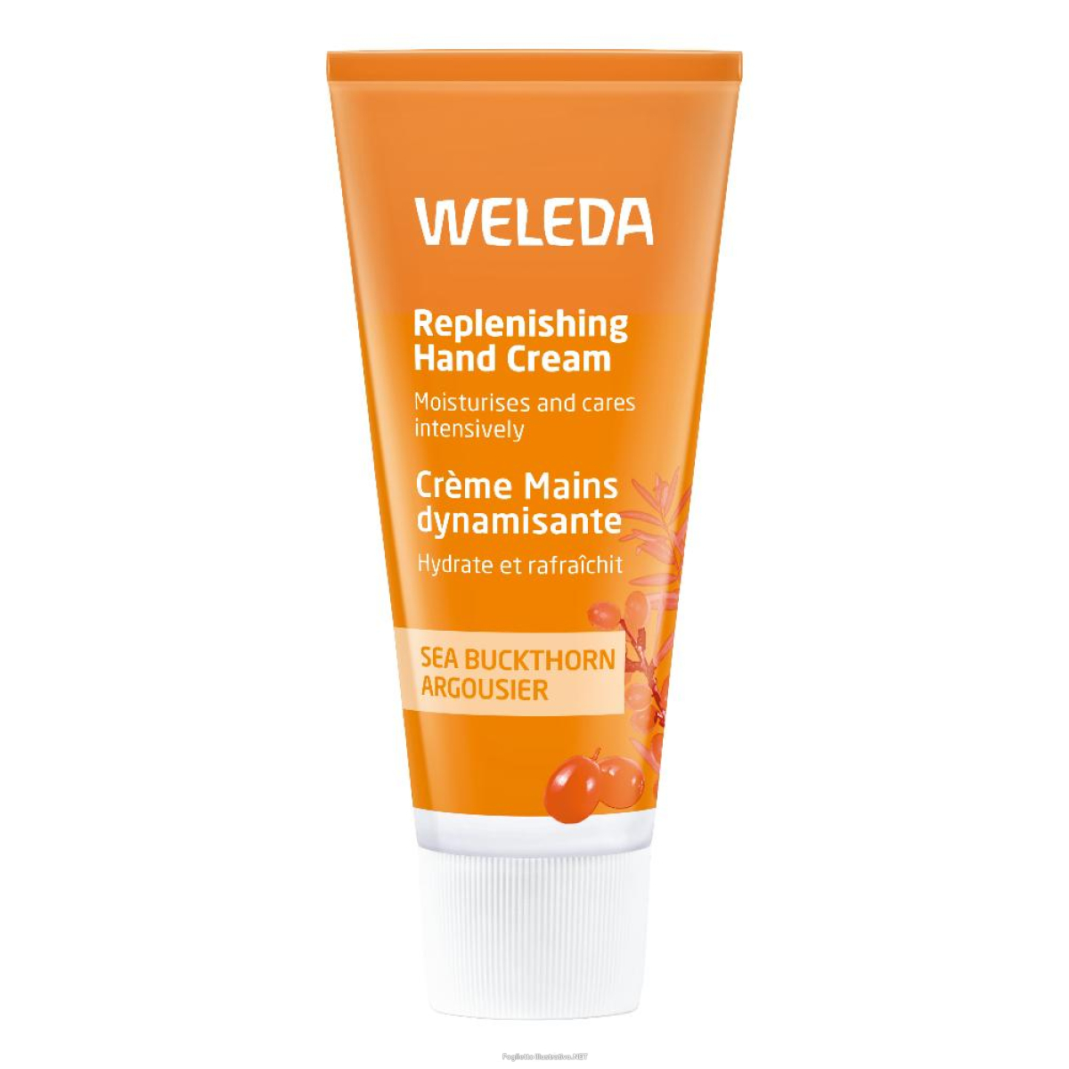 Cerca Prezzi di crema mani energizzante olivello spinoso 50 ml e acquista online