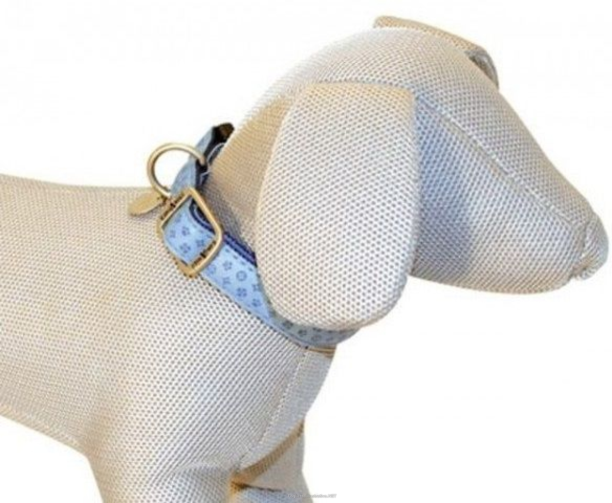 Cerca Prezzi di croci collare mylord similpelle regolabile azzurro 15mmx26/40cm (ref. c5080088) e acquista online