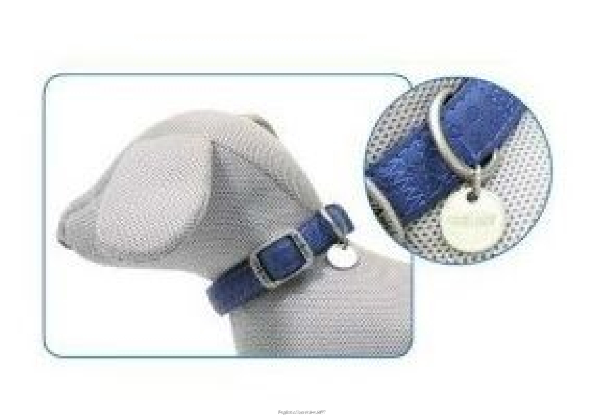 Cerca Prezzi di croci collare mylord similpelle regolabile blu 20mmx35/50cm (ref. c5080779) e acquista online