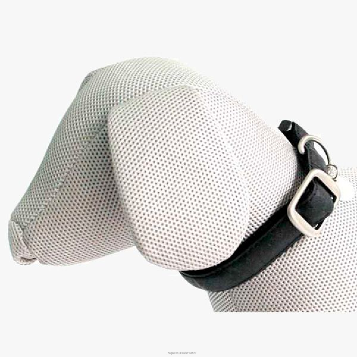 Cerca Prezzi di croci collare mylord similpelle regolabile nero 20mmx35/50cm (ref. c5079302) e acquista online
