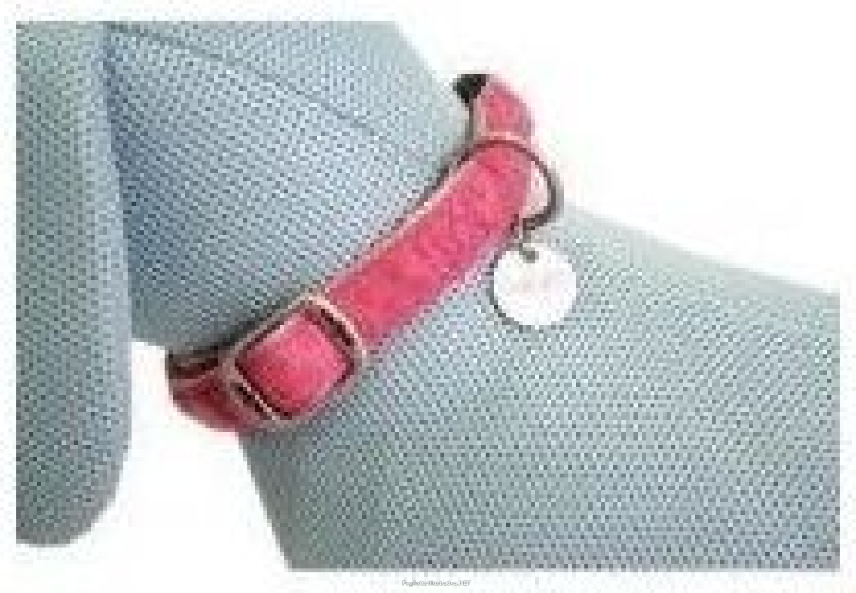 Cerca Prezzi di croci collare mylord similpelle regolabile rosa 25mmx48/70cm (ref. c5079307) e acquista online