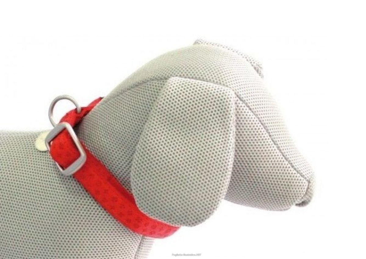 Cerca Prezzi di croci collare mylord similpelle regolabile rosso 15mmx26/40cm (ref. c5079297) e acquista online