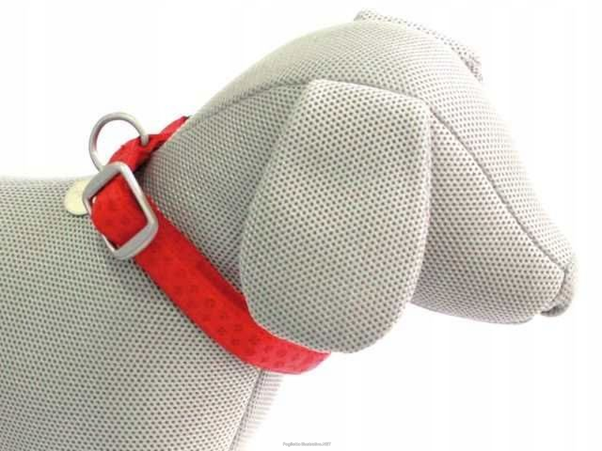 Cerca Prezzi di croci collare mylord similpelle regolabile rosso 25mmx48/70cm (ref. c5079305) e acquista online