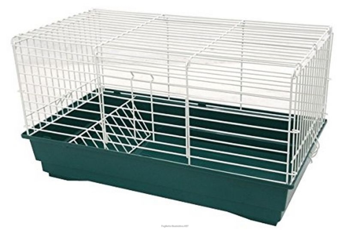 Cerca Prezzi di croci gabbia cavie bianca 58x32x32cm e acquista online