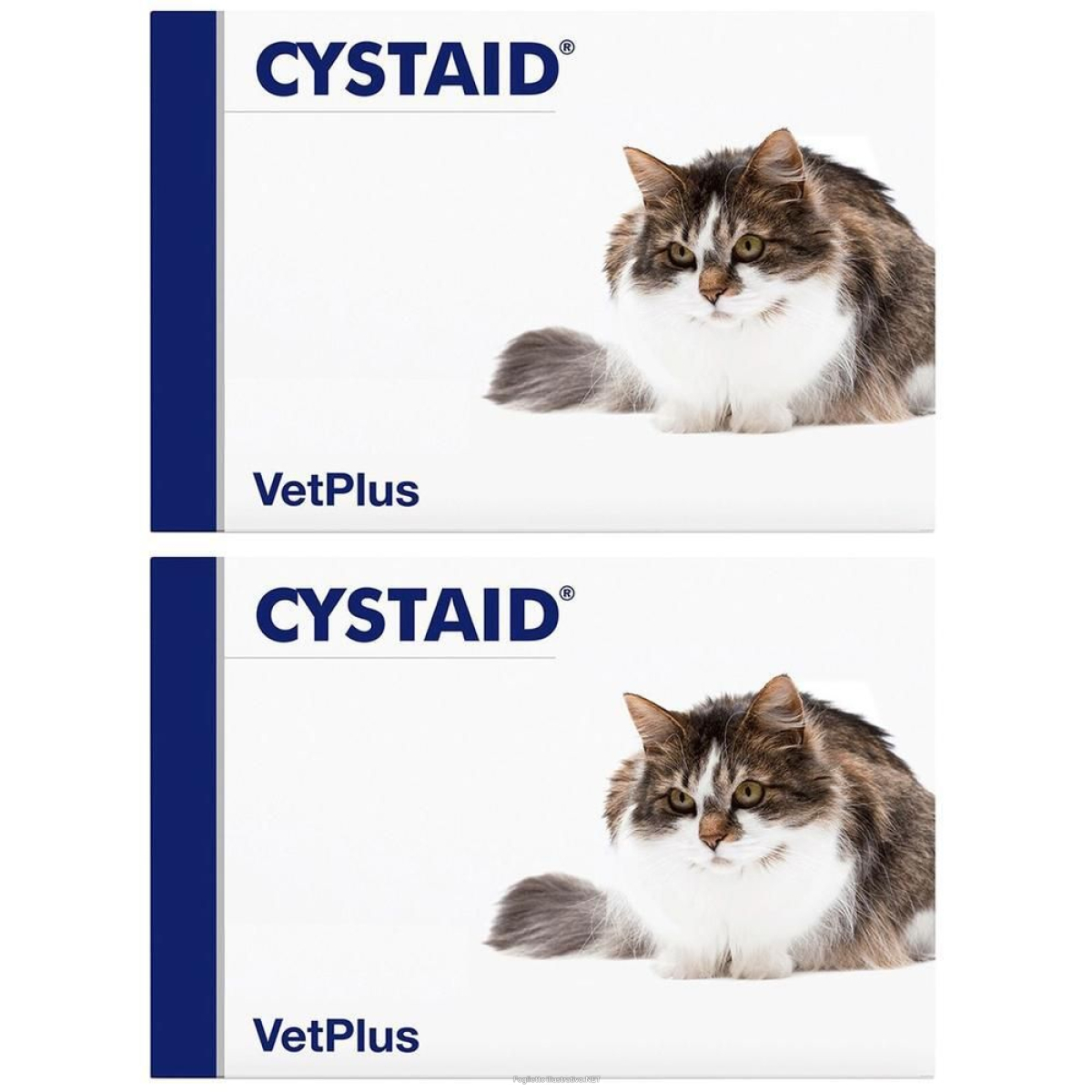 Cerca Prezzi di cystaid 30 capsule 2x7,53 g e acquista online