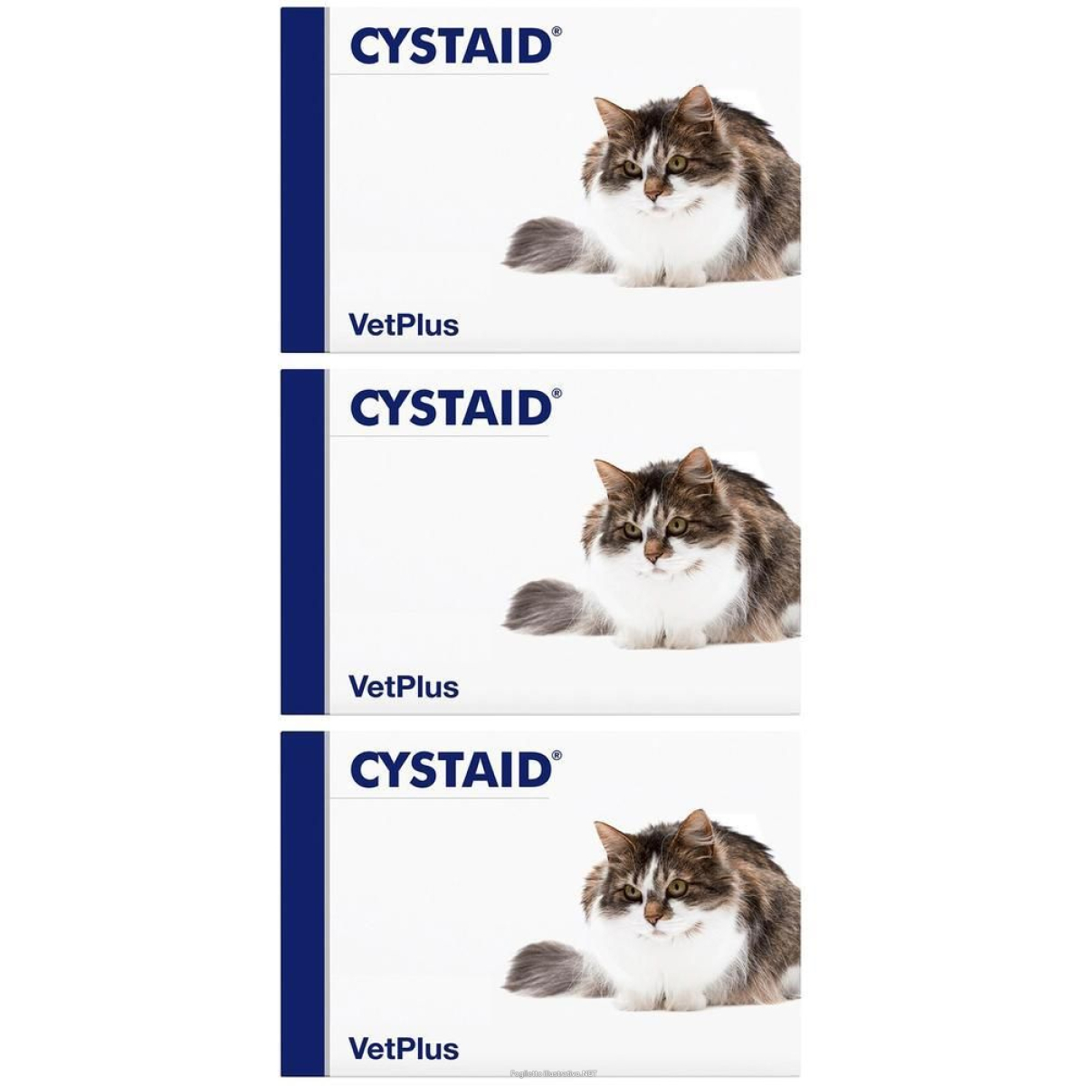 Cerca Prezzi di cystaid 30 capsule 3x7,53 g e acquista online