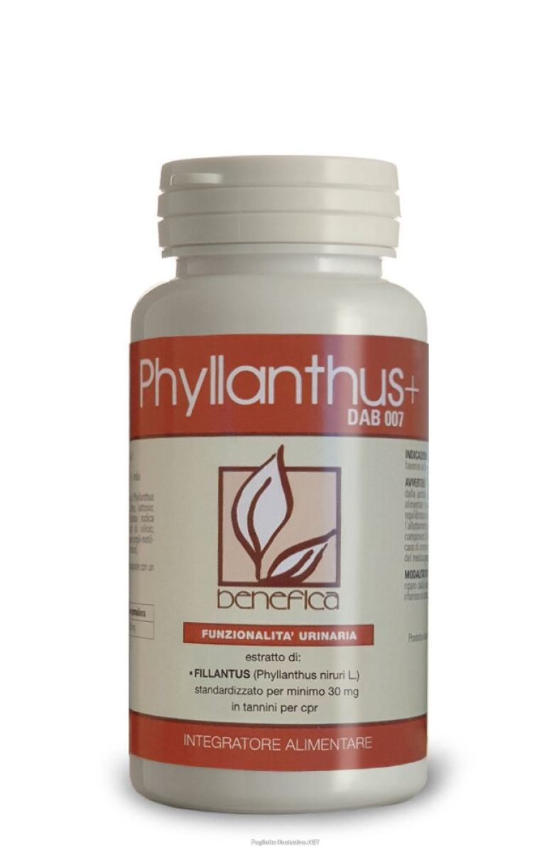 Compra Online dab 007 phyllanthus+ 60 compresse e Trova il miglior prezzo