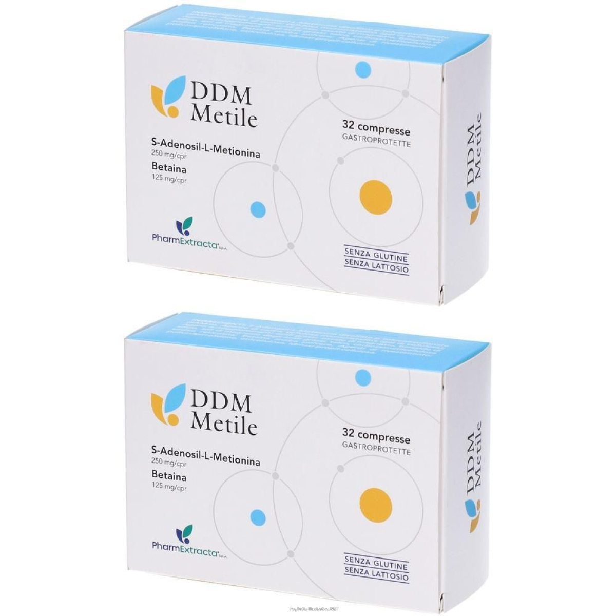 Compra Online ddm metile s-adenosil-l-metionina betaina 2x32 pz compresse e Trova il miglior prezzo
