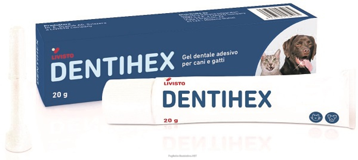 Compra Online dentihex gel dentale adesivo per cani e gatti 20 g e Trova il miglior prezzo