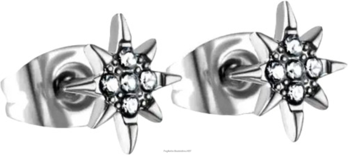 Compra Online diamond orecchino astra e Trova il miglior prezzo