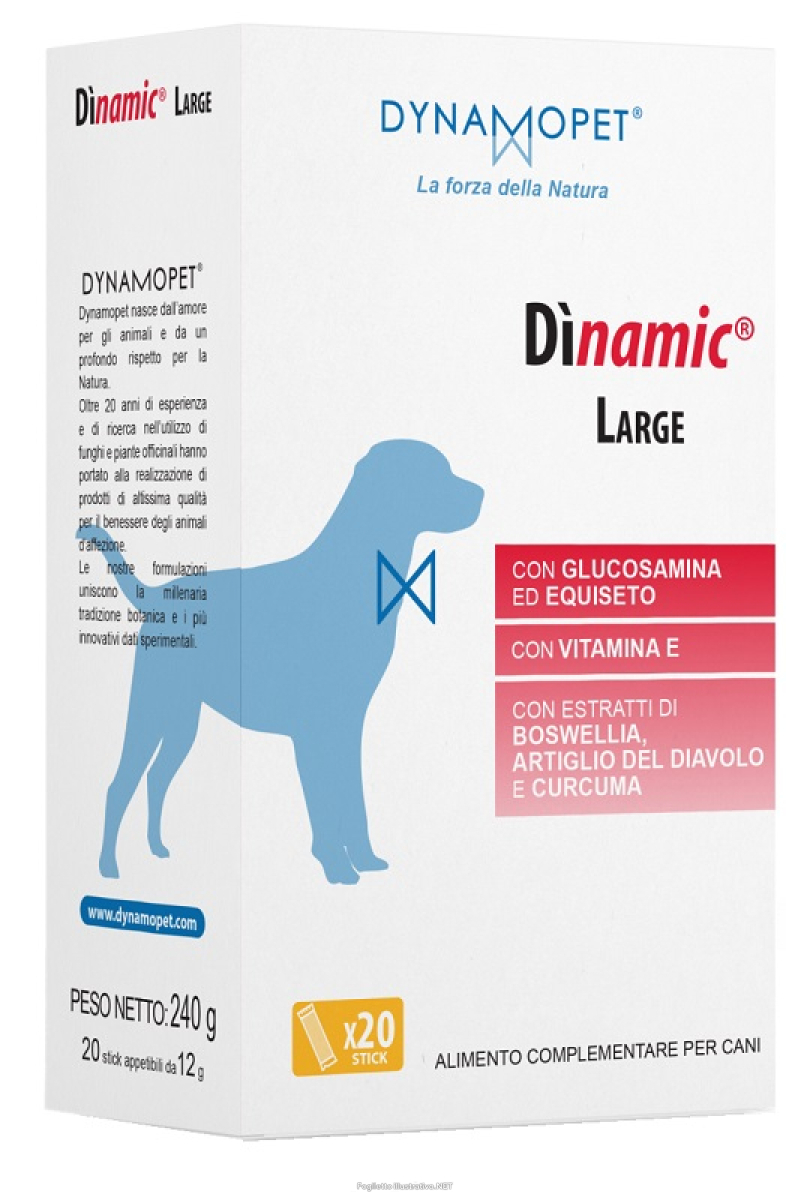Compra Online dinamic large 20 stick da 12 g e Trova il miglior prezzo