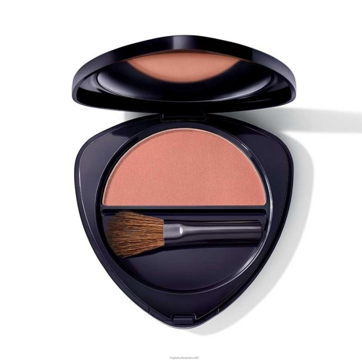 Compra Online dr hauschka blush 02 5g e Trova il miglior prezzo