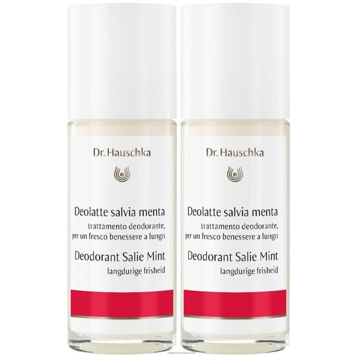 Compra Online dr. hauschka deolatte salvia menta set da 2 2x50 ml roll-on e Trova il miglior prezzo