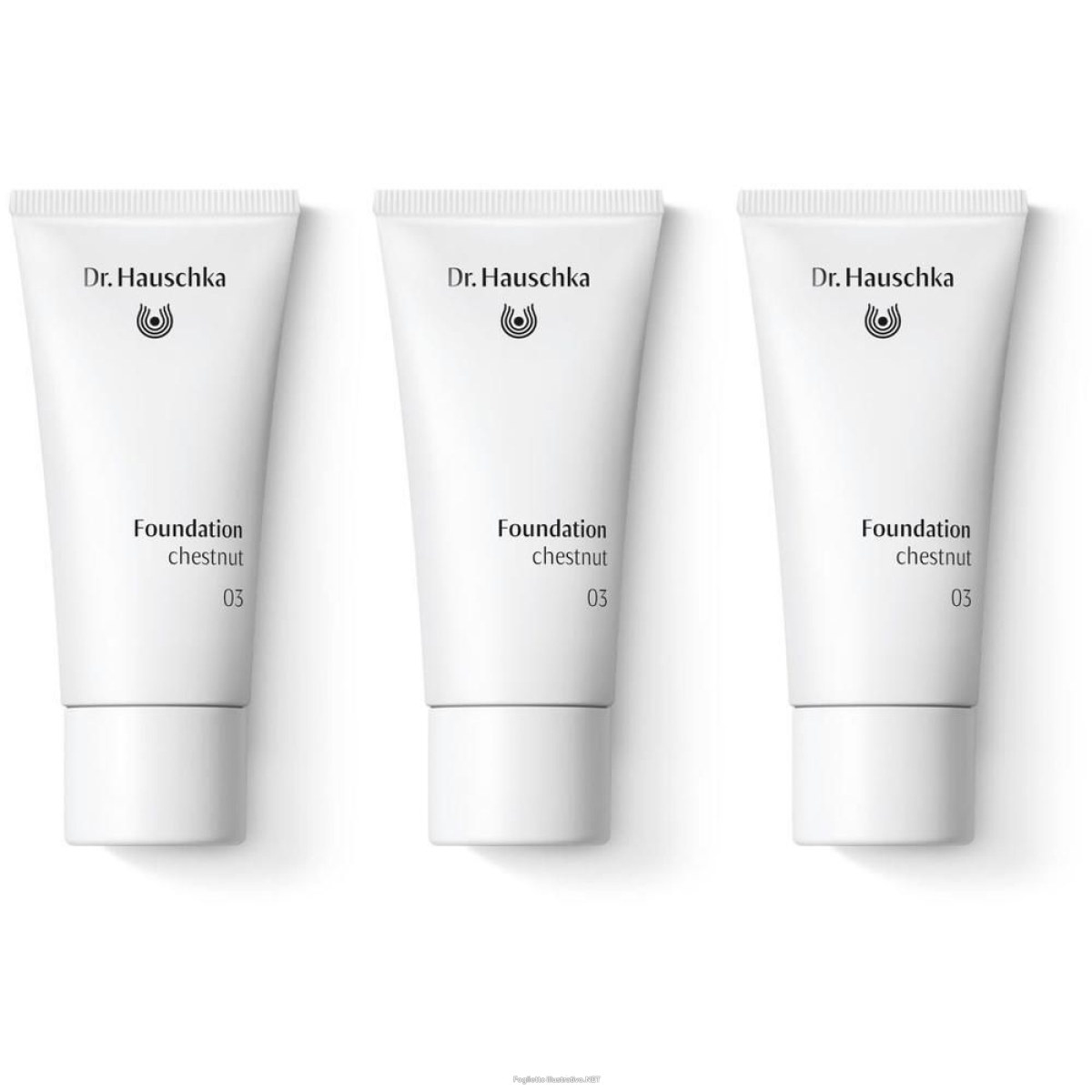 Compra Online dr. hauschka foundation 03 chestnut 3x30 ml e Trova il miglior prezzo
