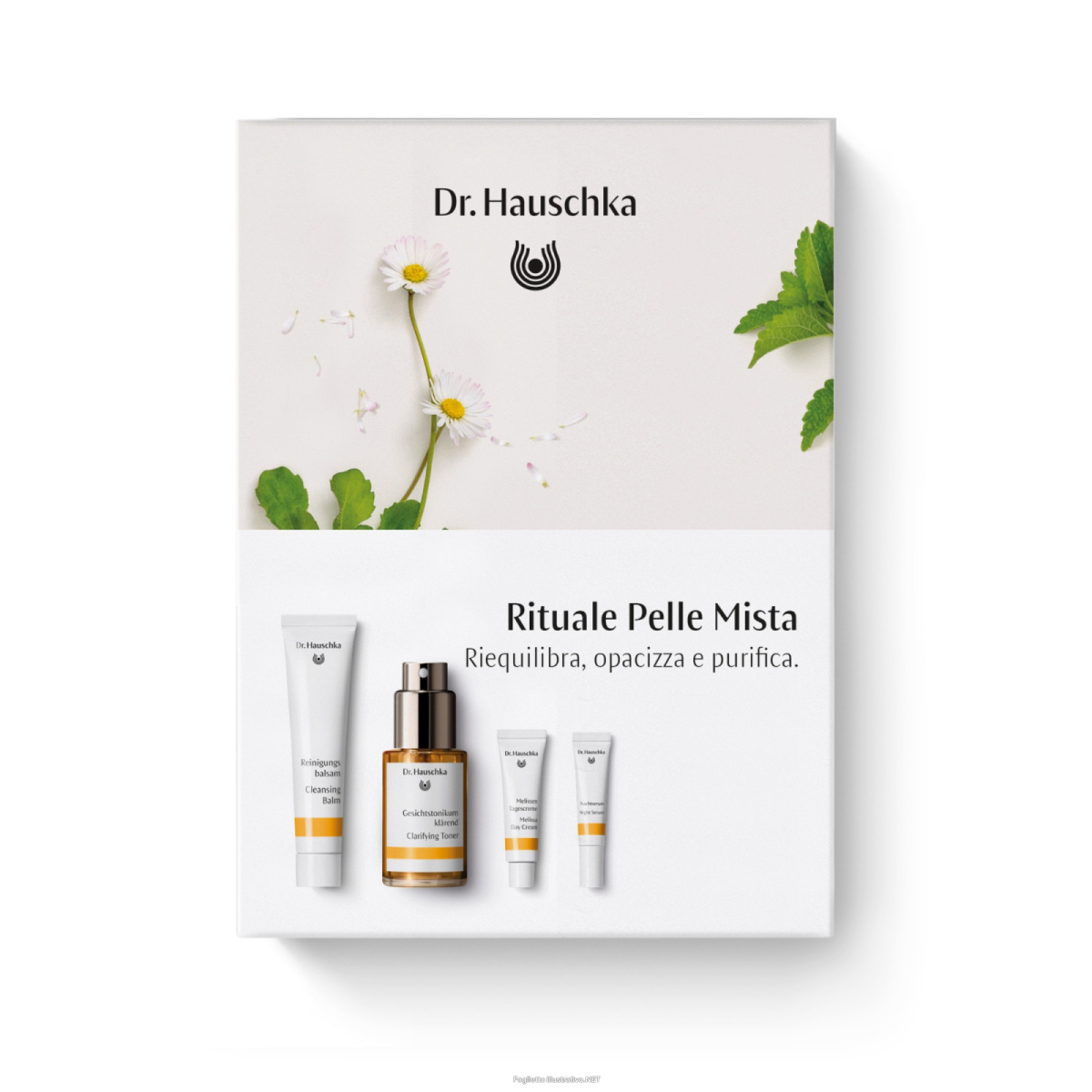 Compra Online dr. hauschka kit rituale pelle mista - risparmia il 10% con codice: e Trova il miglior prezzo