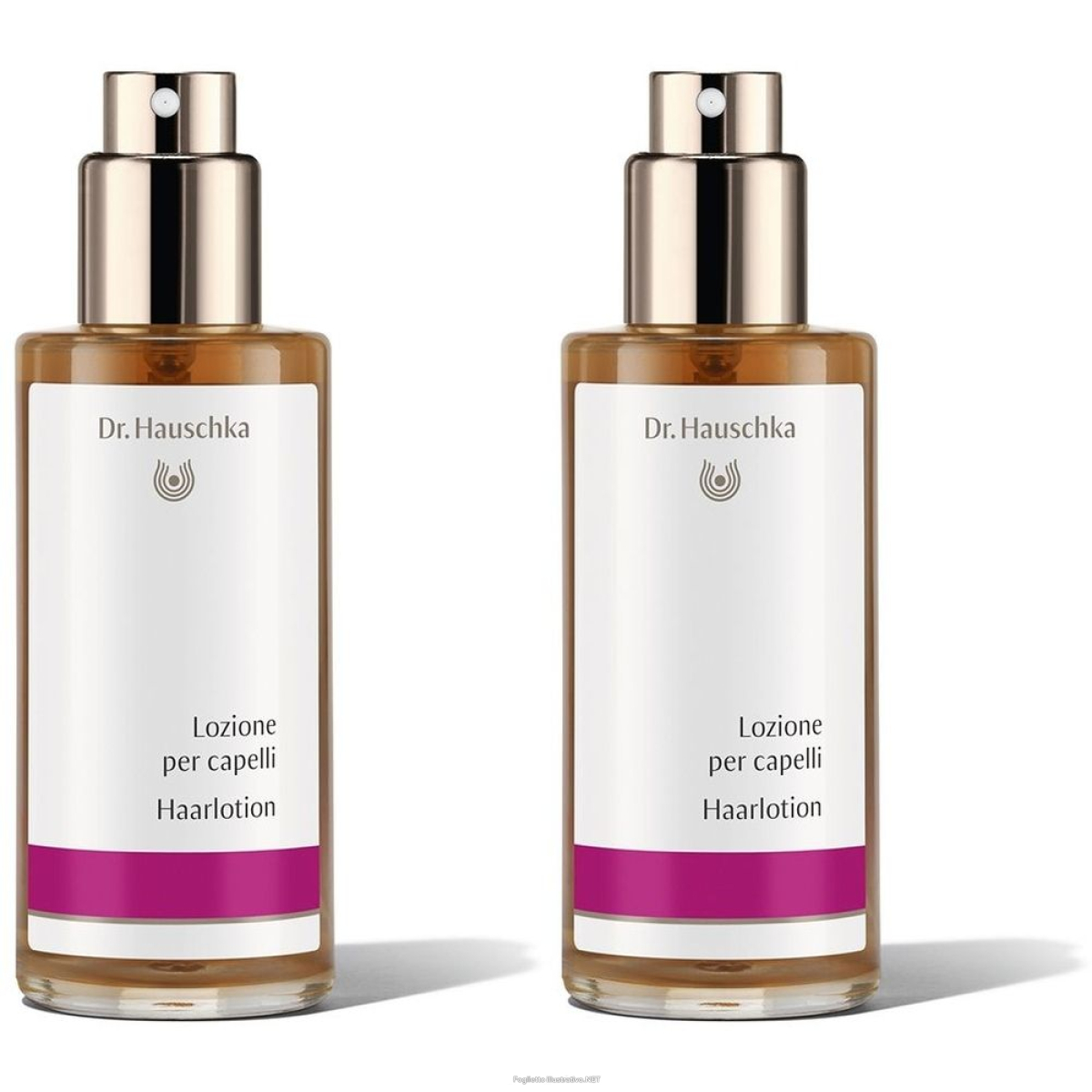 Compra Online dr. hauschka lozione per capelli set da 2 2x100 ml soluzione e Trova il miglior prezzo
