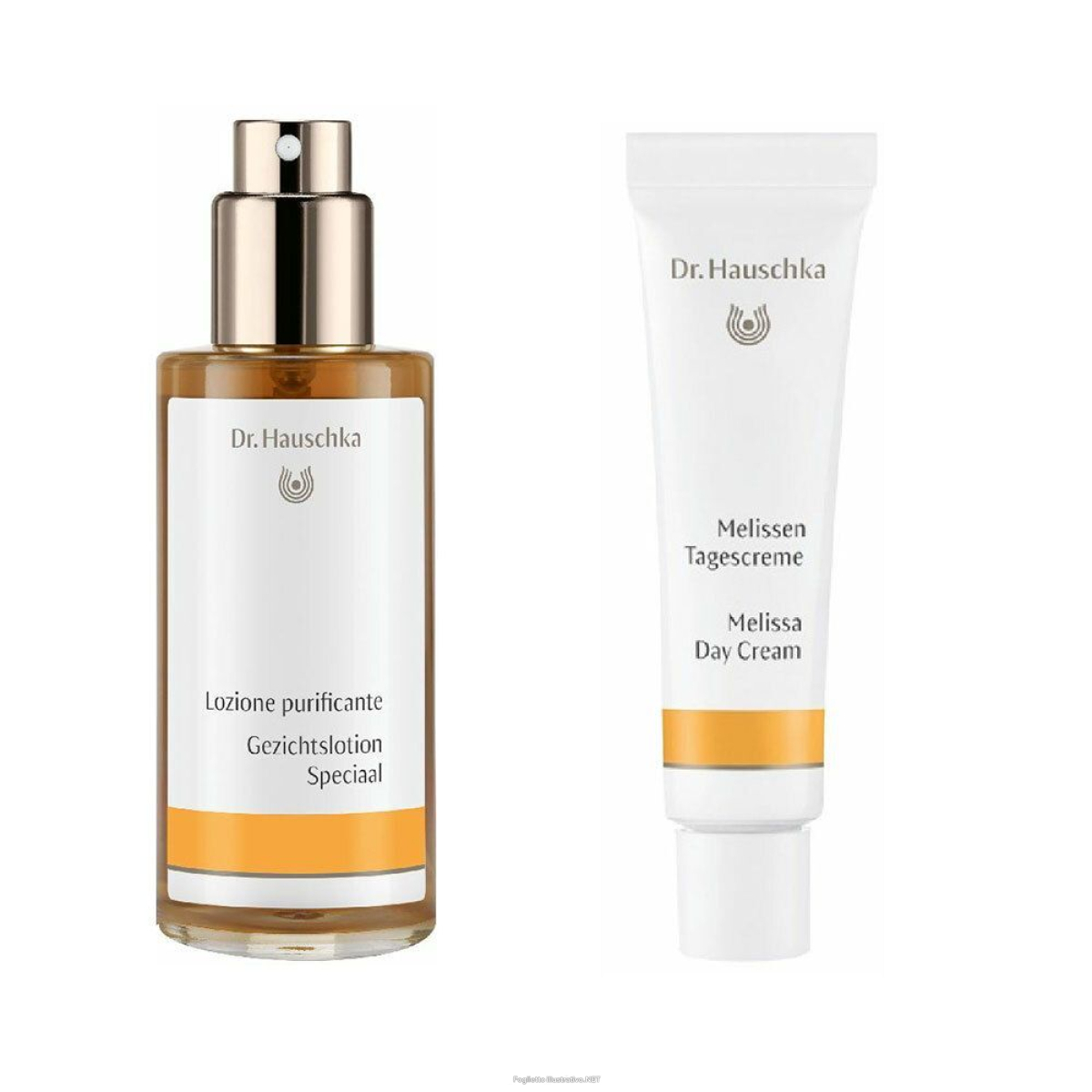 Compra Online dr. hauschka lozione purificante + crema alla melissa giorno 1 pz set e Trova il miglior prezzo