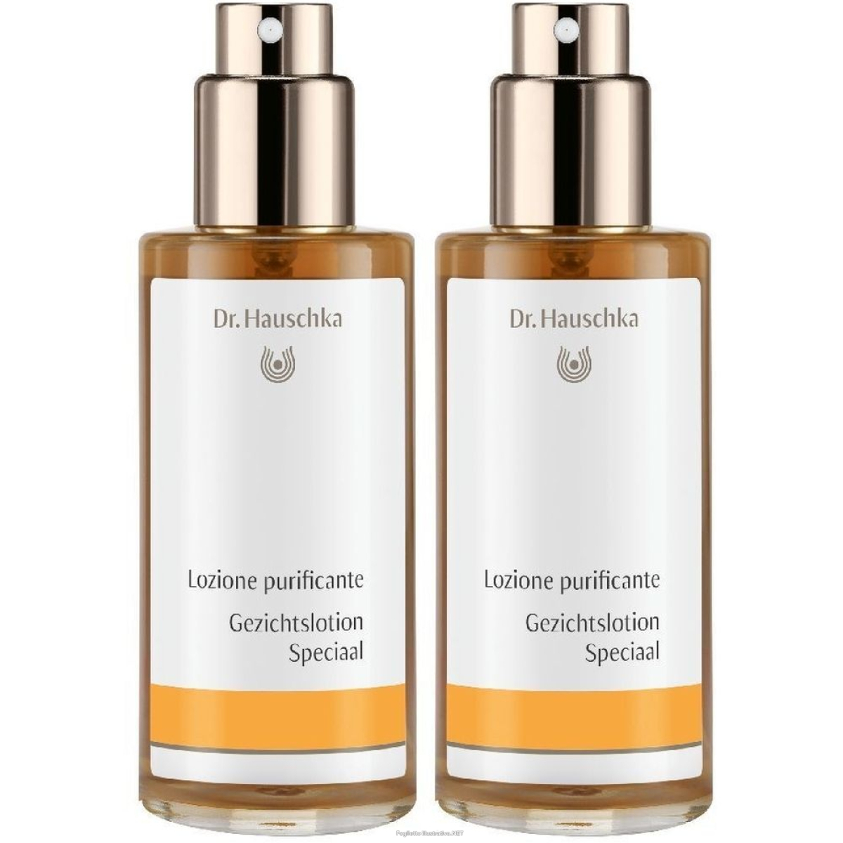 Compra Online dr. hauschka lozione purificante set da 2 2x100 ml soluzione e Trova il miglior prezzo