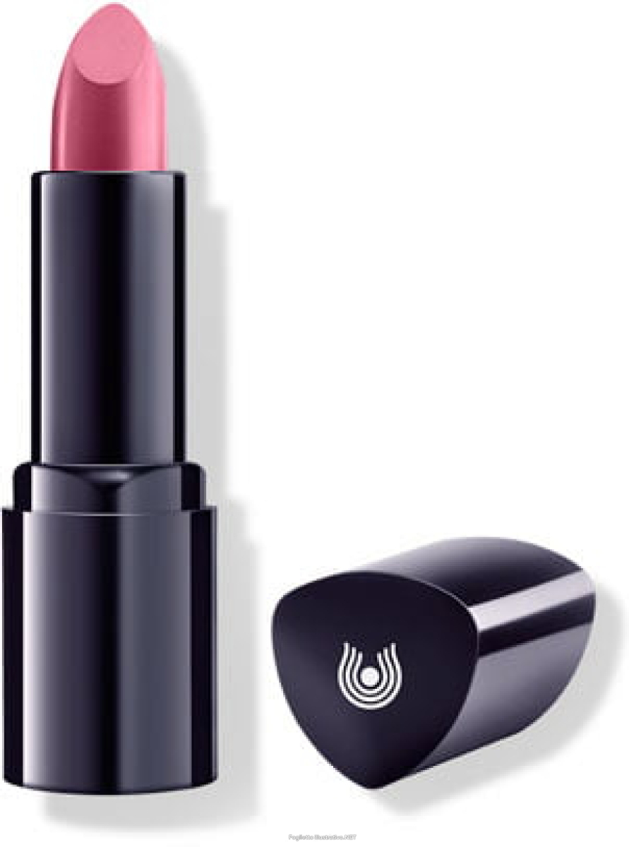 Compra Online dr hauschka mal lipstk 02 e Trova il miglior prezzo