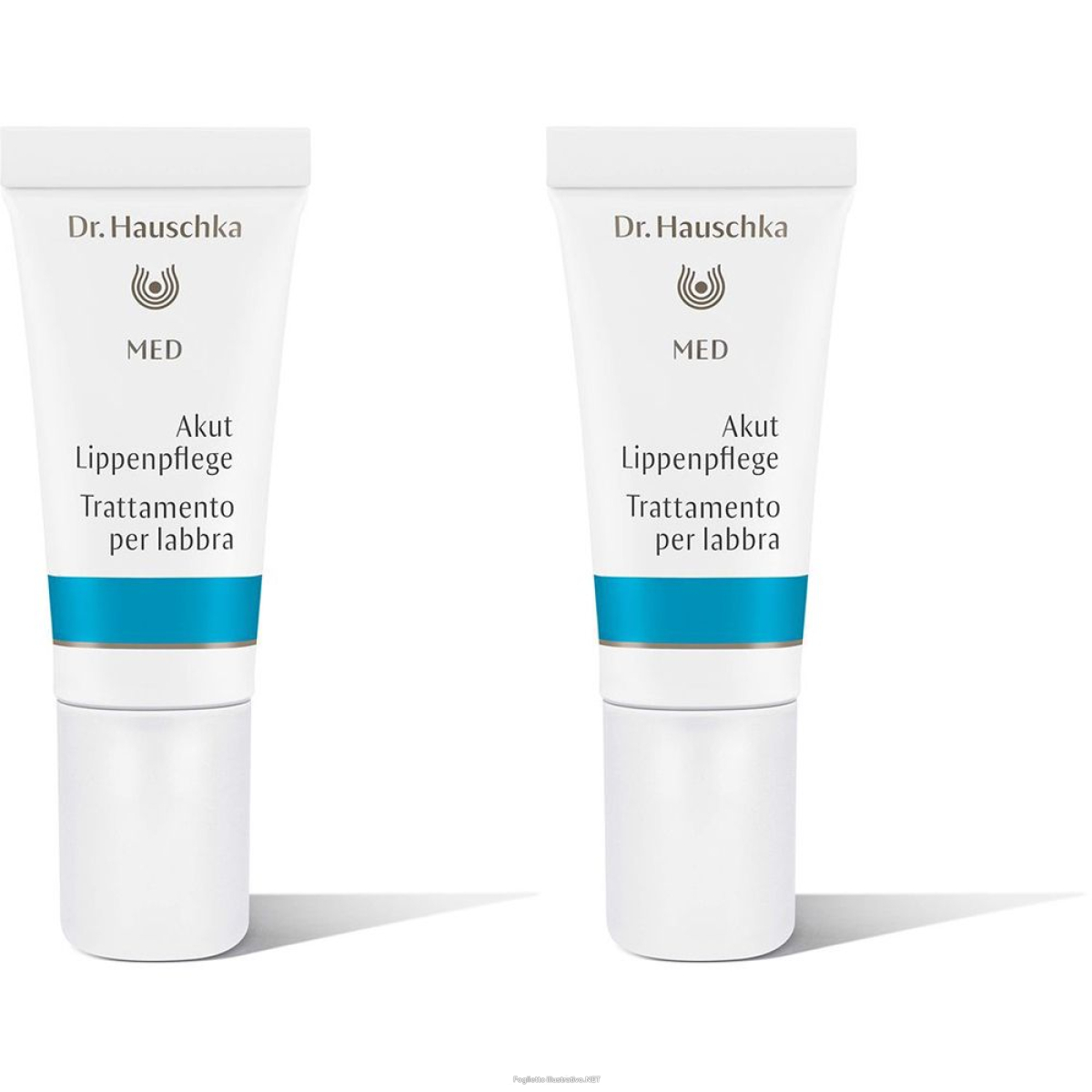 Compra Online dr. hauschka med trattamento per labbra set da 2 2x5 ml balsamo e Trova il miglior prezzo