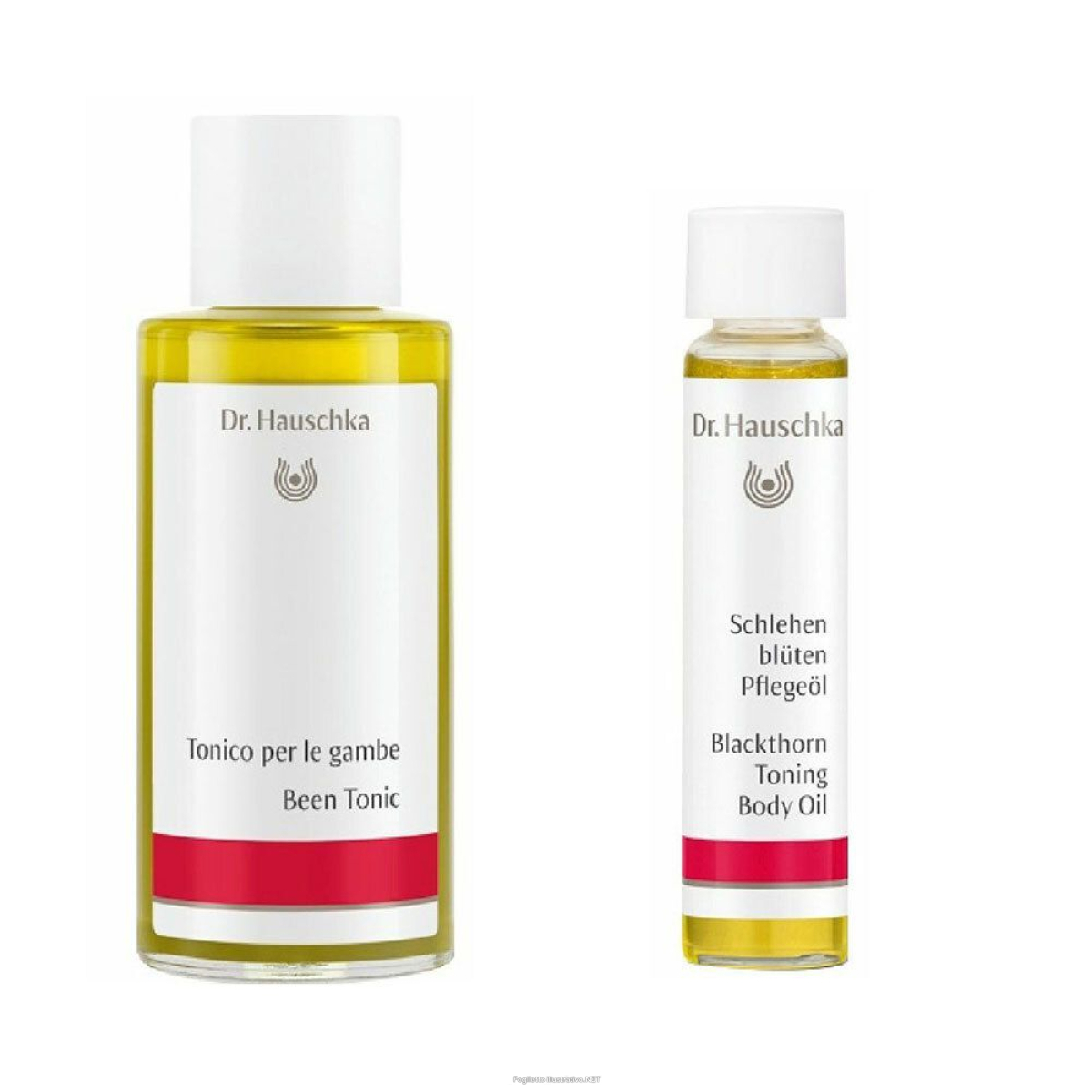 Compra Online dr. hauschka tonico per le gambe + olio trattante prugnolo 1 pz set e Trova il miglior prezzo