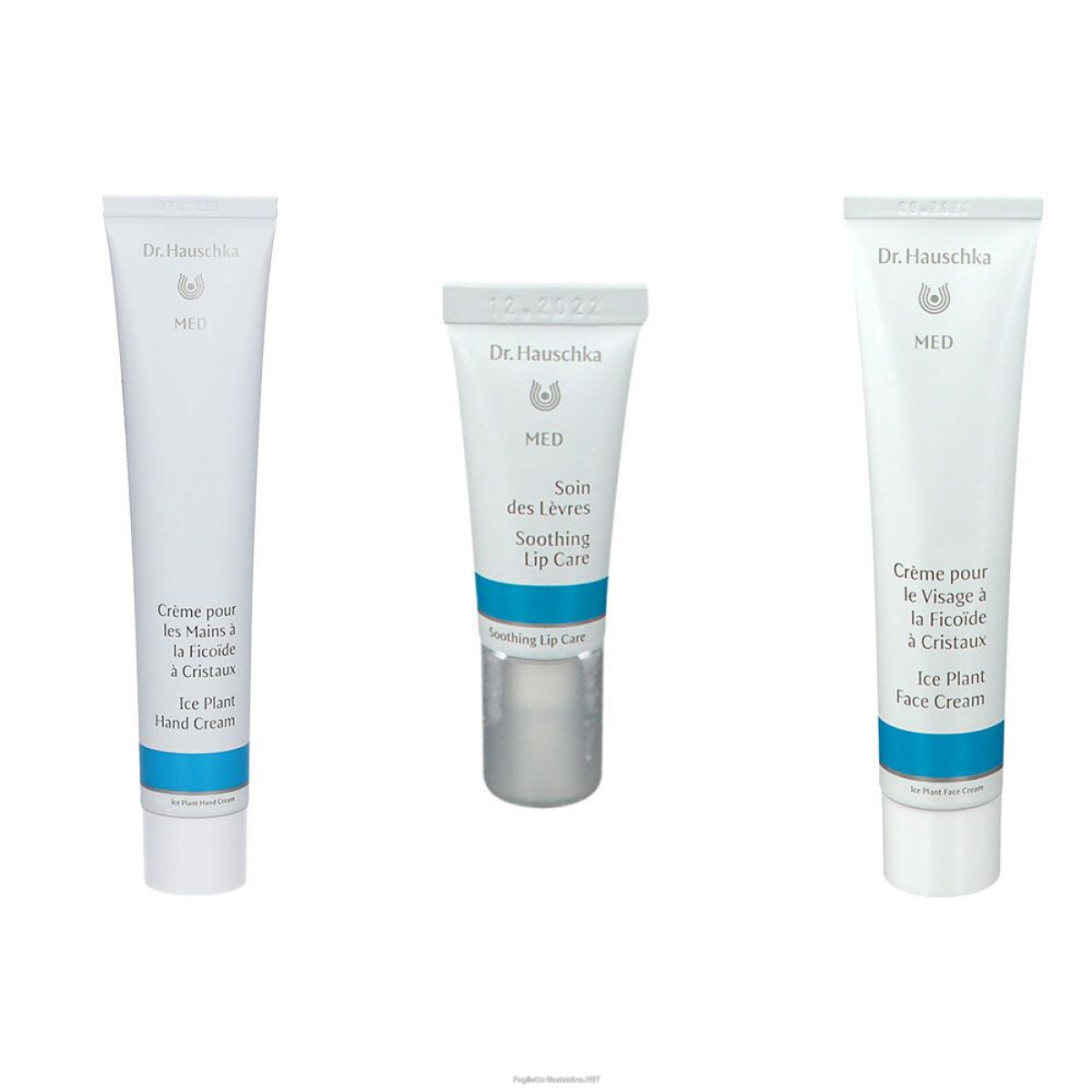 Compra Online dr. hauschka wala bundle pelle con problematiche specifiche 1 pz set e Trova il miglior prezzo