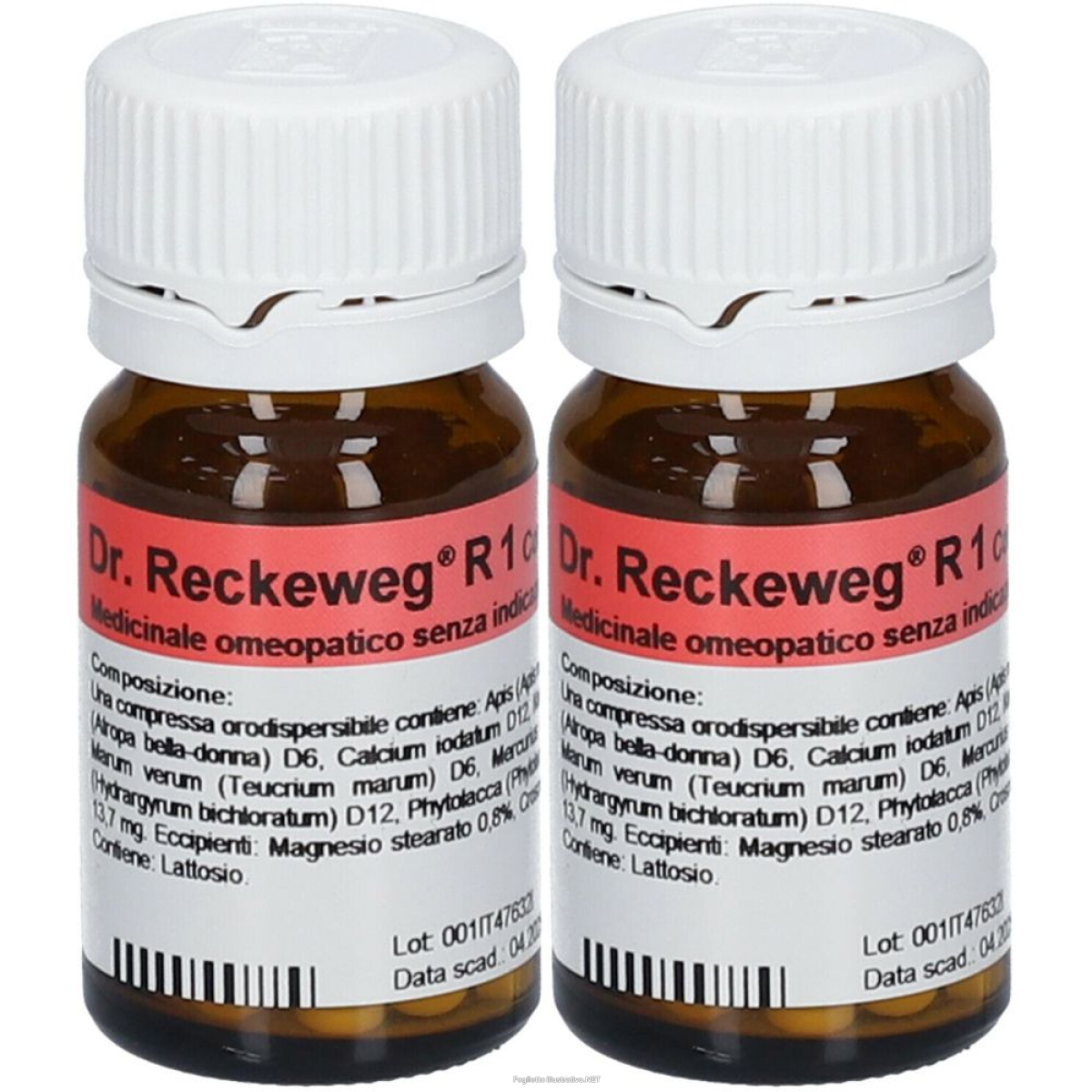 Compra Online dr. reckeweg® r1 compresse set da 2 2x100 pz compresse e Trova il miglior prezzo