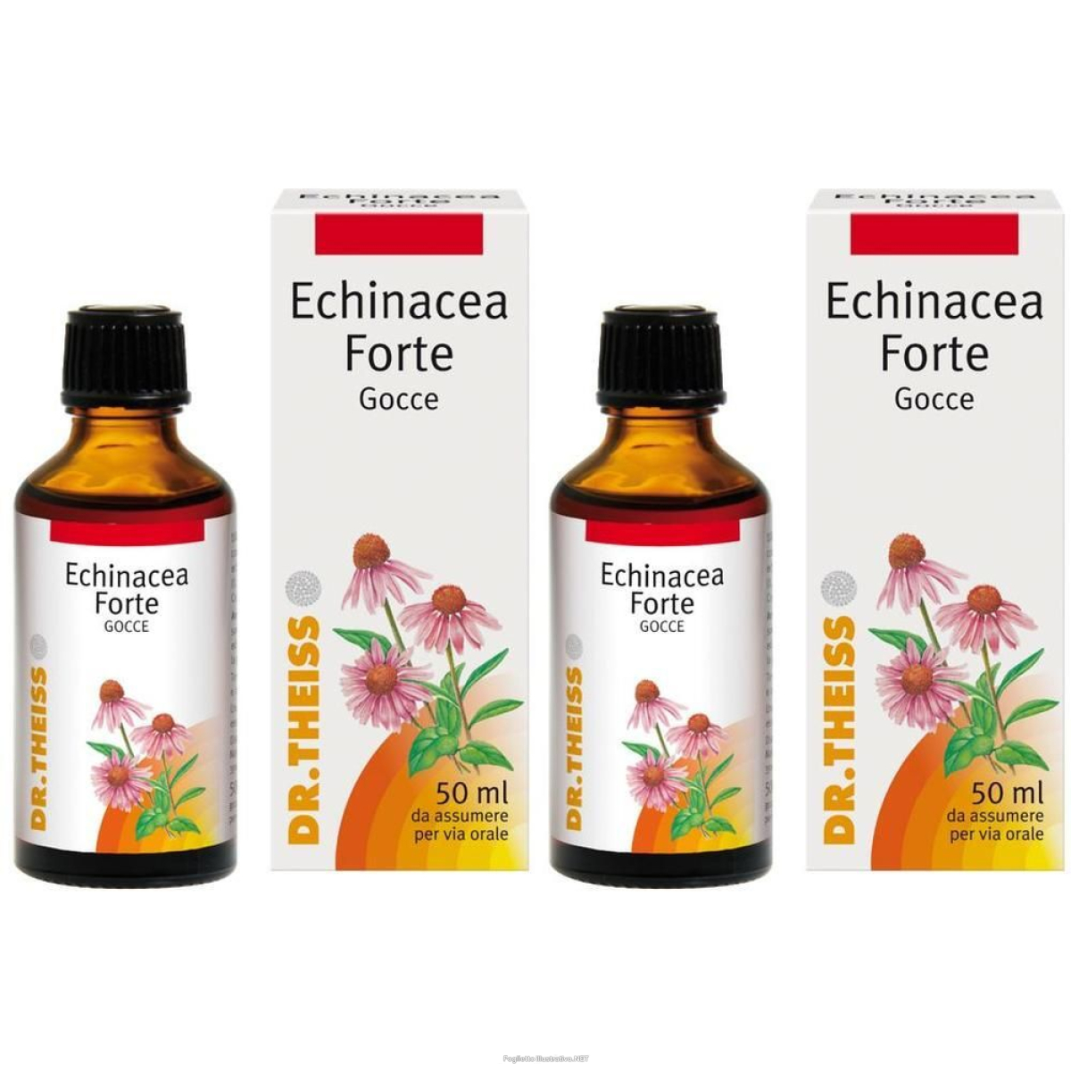 Compra Online dr theiss echinacea forte gocce 2x50 ml orali e Trova il miglior prezzo
