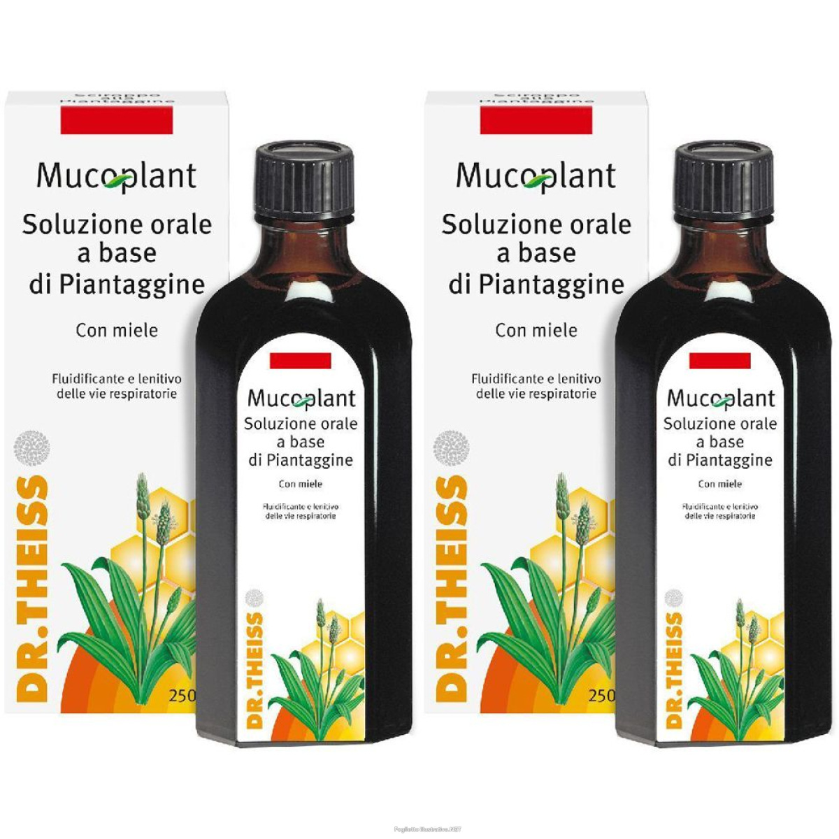Compra Online dr. theiss mucoplant set da 2 2x250 ml soluzione e Trova il miglior prezzo