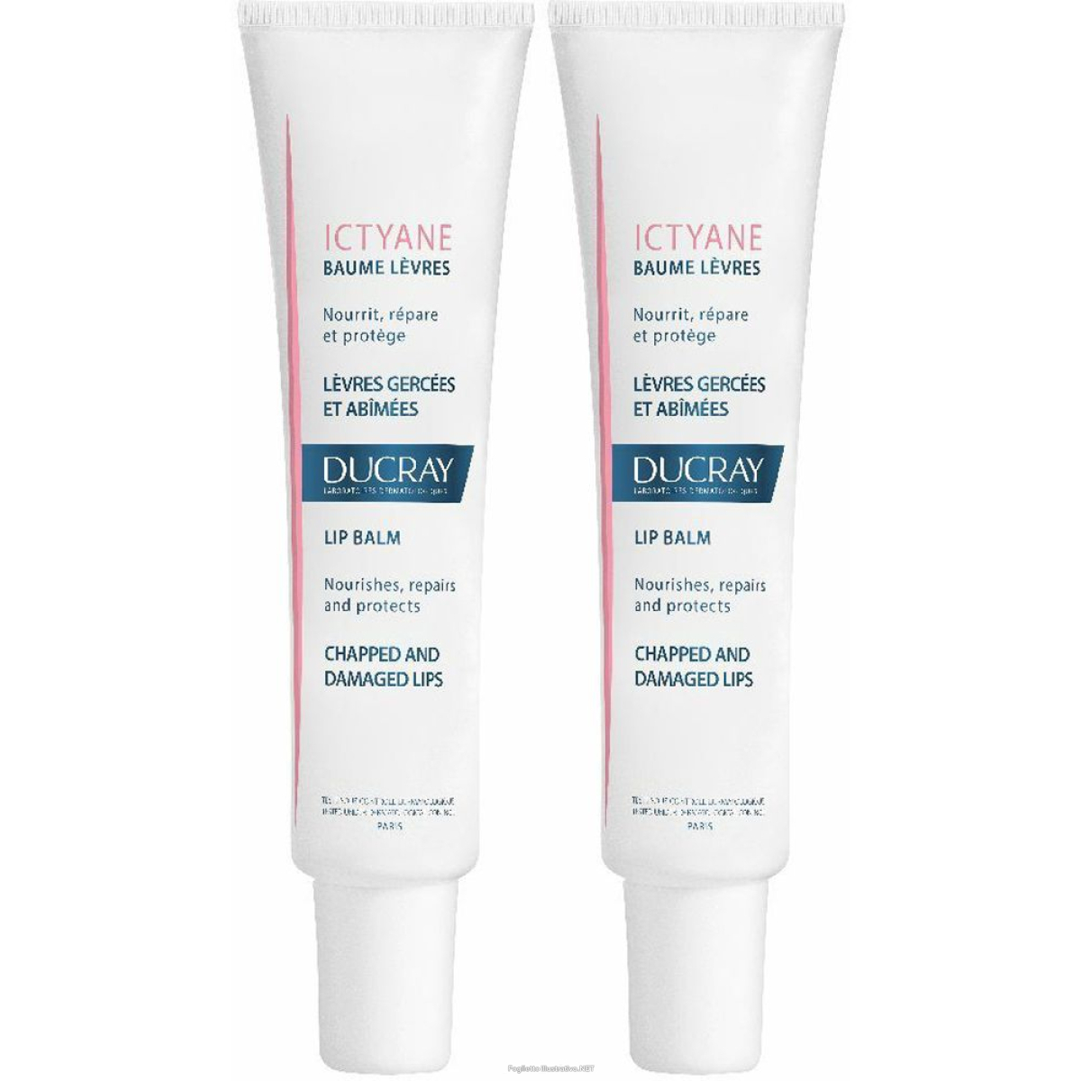Compra Online ducray ictyane balsamo labbra set da 2 2x15 ml protezione per le labbr e Trova il miglior prezzo