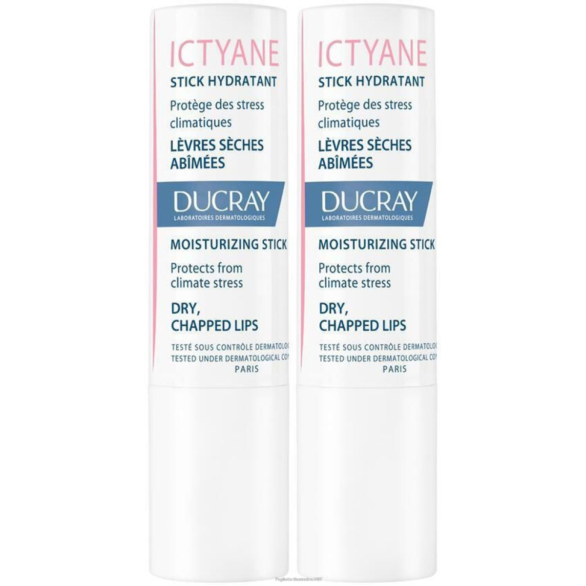 Compra Online ducray ictyane stick labbra set da 2 2x3 g rossetto e Trova il miglior prezzo