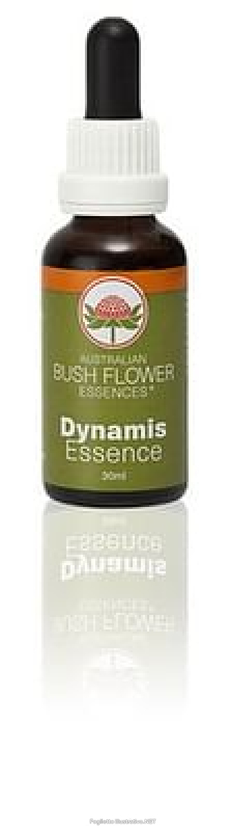 Compra Online dynamis 30 ml 1 pezzo e Trova il miglior prezzo