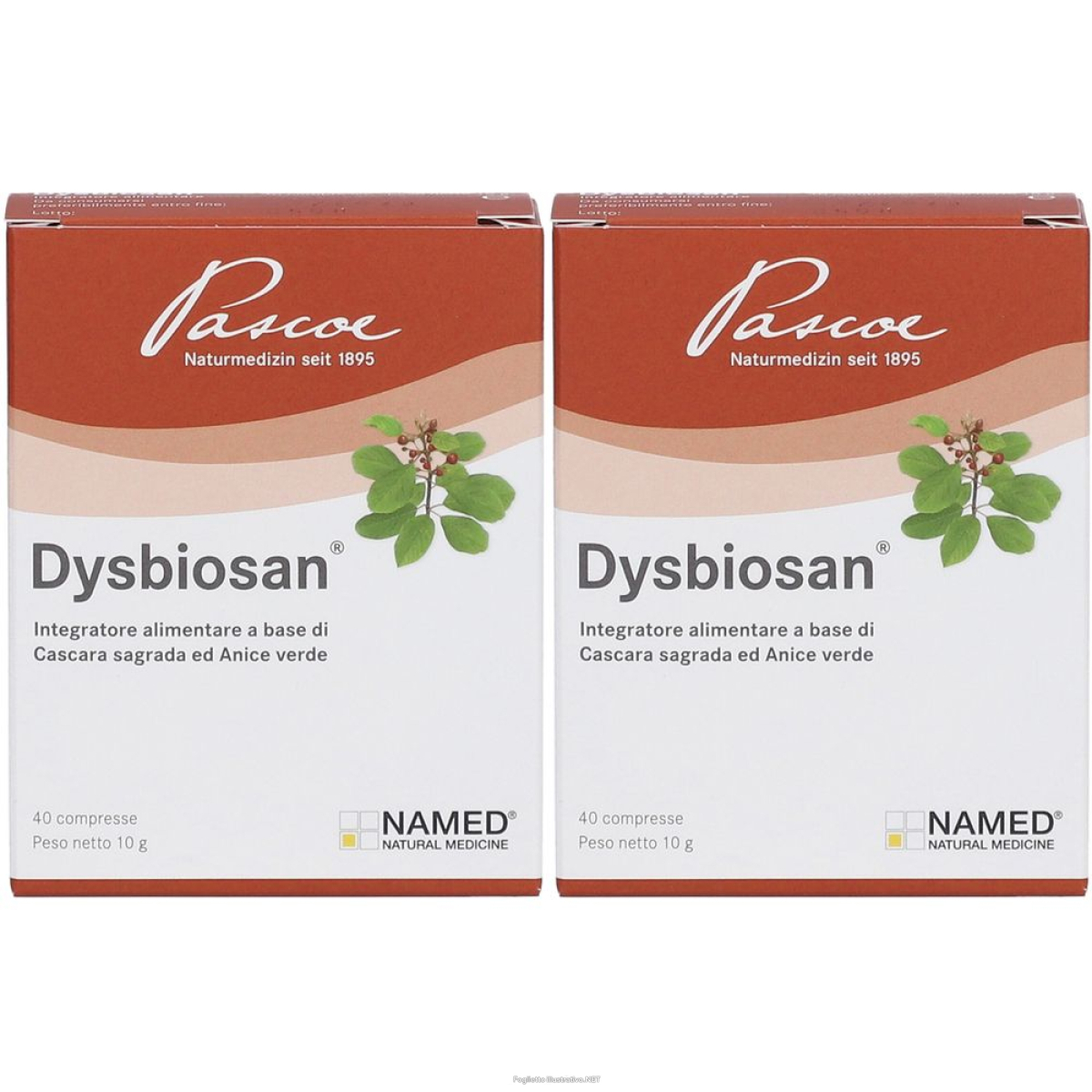 Compra Online dysbiosan® compresse 2x40 pz e Trova il miglior prezzo